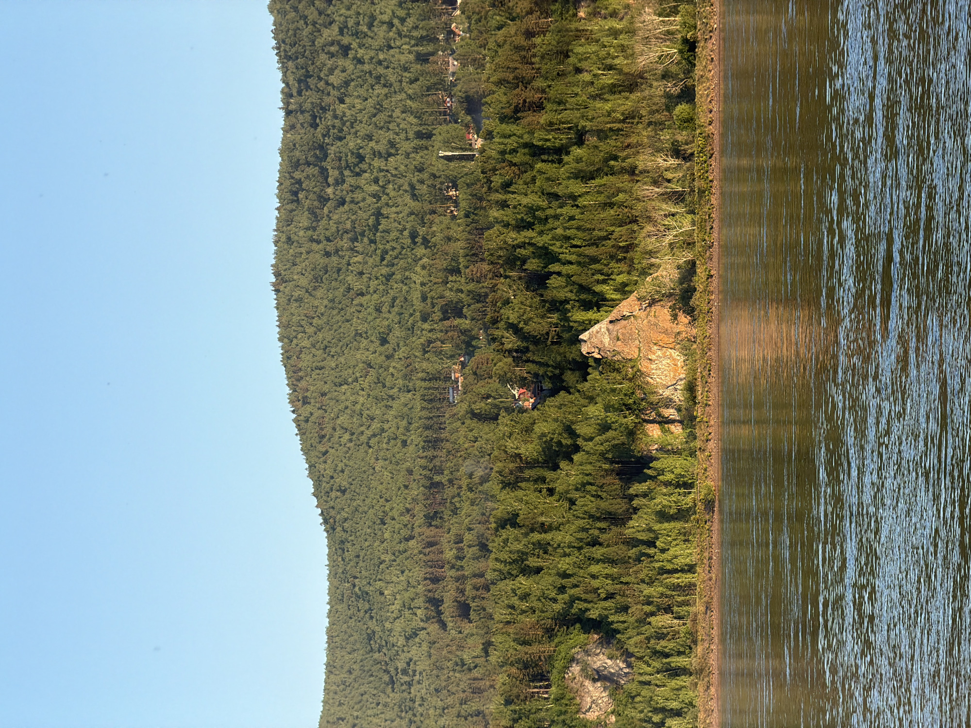 This landscape photograph captures a wide river in the foreground, a heavily forested bank, and a prominent, densely wooded hill under a clear, light blue sky.
The lower third of the image is dominated by the river, characterized by a dark, reflective surface displaying numerous small, horizontal ripples. The water exhibits tones of dark blue-green, brown, and gold, reflecting ambient light and shoreline features. No vessels or individuals are visible on the water.
A narrow, irregular strip of land, appearing to be an earthen or sparsely vegetated bank, separates the river from the forest. Directly behind this bank, a dense forest covers the lower and middle slopes of the hill. This forest comprises a mix of coniferous and deciduous trees, with lighter green foliage on the deciduous species and darker green on the conifers. Several white-barked trees, consistent with birch, are distributed throughout this lower forest layer.
Specific geological features include two prominent rock formations: a light brown to reddish-orange rock face on the far left, partially obscured by trees, and a smaller, distinct reddish-brown rock outcrop positioned at the water's edge in the lower-center-right, illuminated by direct sunlight.
Multiple small, low-rise structures, consistent with cabins or houses, are discernible within the forest on the lower and mid-slopes. One light-colored building is visible on the left side of the midground. A tall, slender, white or light-grey mast-like structure, possibly a telecommunications tower, stands amidst the trees on the right-central portion of the lower slope.
The upper slopes of the hill are uniformly covered by a dense, dark green coniferous forest extending to the crest. Additional small structures are sparsely integrated into this upper forest.
The upper quarter of the image displays a clear, cloudless, light blue sky. The scene is illuminated by strong, directional sunlight, casting warm, golden hues on the rock formations and the sun-facing aspects of the trees and terrain. Shadows indicate the primary light source is from the viewer's left.
Given the presence of a wide river, dense taiga forest, and distinctive rock formations, the location is consistent with the Yenisei River within or immediately adjacent to the Stolby Nature Sanctuary in the city of Krasnoyarsk, Russia.