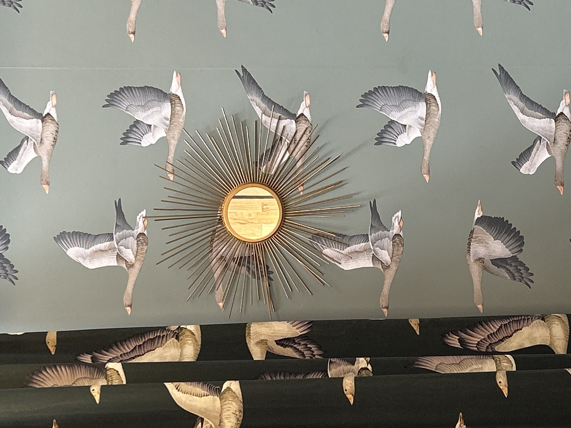 The image displays an interior space featuring a wall covered in patterned wallpaper and a dark green Roman blind below it. The wallpaper has a repeated design of flying geese, rendered in shades of grey, white, and brown, set against a muted green-grey background. The geese are depicted in various flight poses, with their heads often pointing downwards.
Centrally positioned on the wall is a gold-colored sunburst mirror, its radiating spikes partially overlapping some of the geese on the wallpaper. The mirror has a circular central frame, appearing to be made of wood or a textured gold-toned material.
Below the wallpaper, a dark green fabric, likely a Roman blind, is visible with horizontal folds. This fabric also features a similar pattern of flying geese, coordinating with the wallpaper design. The geese on the blind are partially obscured by the pleats.
No people are present, and no specific activity is taking place. The scene is static, showcasing the decorative elements of the room. The lighting appears to be ambient indoor light. There is no visible text in the image.