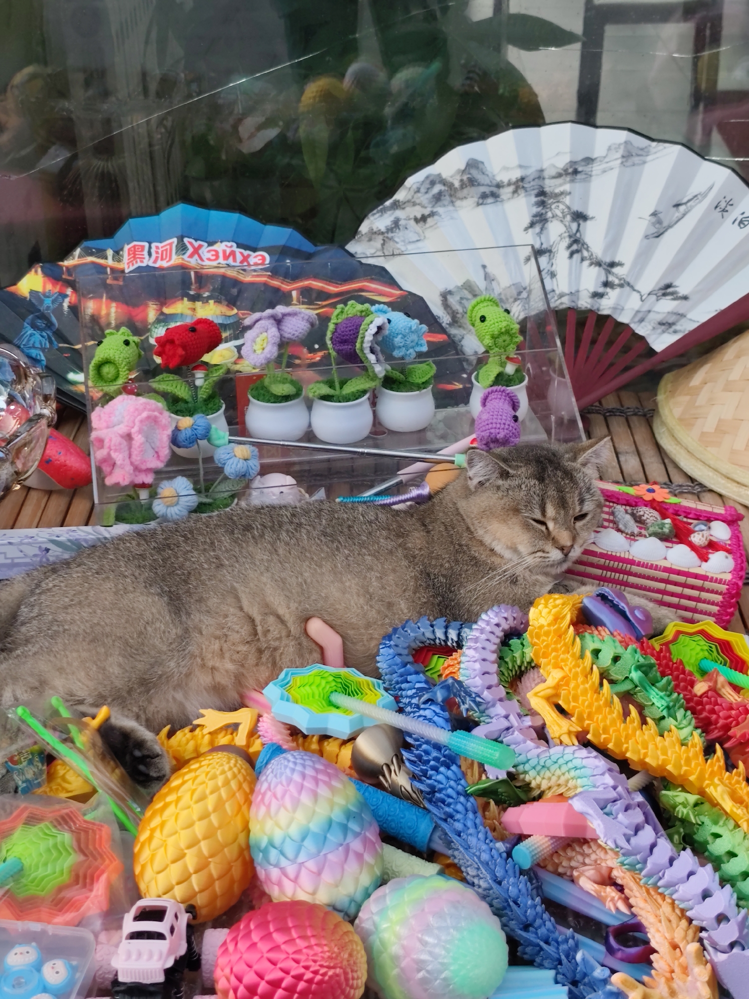 The image shows a tabby cat lying amidst a collection of colorful toys, including dragon-shaped sensory toys, pineapple-shaped squishy toys, and various fidget toys. Behind the cat and toys, a glass pane reflects greenery and structures, suggesting an indoor setting. A red fan with a landscape design and another white fan with a traditional Chinese painting are visible in the background, along with several small crocheted flowers in pots. A woven basket with seashell decorations is also present. The scene is brightly lit, and the cat appears relaxed. The location is identified as 兴安街道, China.