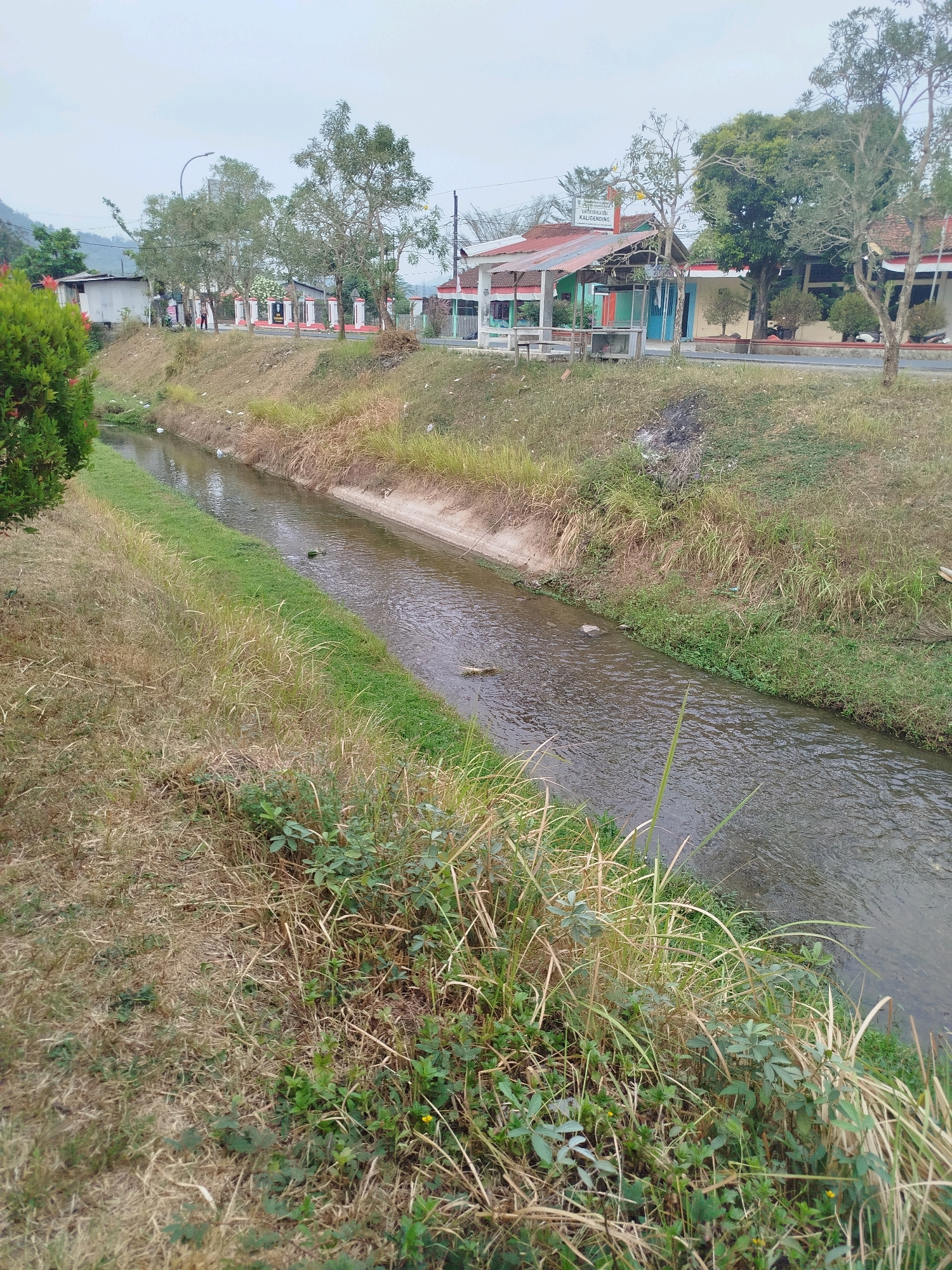 The image depicts a narrow, flowing canal with concrete banks, bordered by dry, overgrown grass and some green vegetation. On the far bank of the canal, across a road, there is a building complex with a red-tiled roof and light-colored walls. Several trees with sparse foliage are visible in front of the buildings. A sign with Indonesian writing is mounted on a post near the entrance to the complex. A few people are standing on the side of the road near the buildings. The sky is overcast. The scene is consistent with a rural or semi-rural area in Kedungwaru, Indonesia.