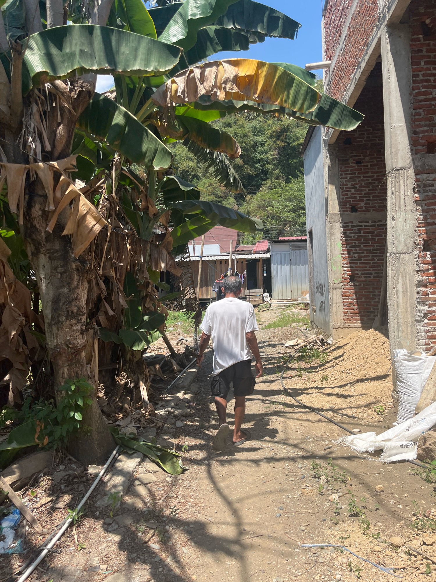 In Sengkang, Indonesia, a man wearing a white t-shirt and black shorts walks down a dirt path. To his left, a large banana tree with broad leaves, some dried and brown, dominates the foreground. To his right, a partially constructed brick building with a concrete pillar stands. The path is lined with debris, including white plastic sheeting and scattered building materials. In the background, more buildings and lush green trees are visible under a clear blue sky.