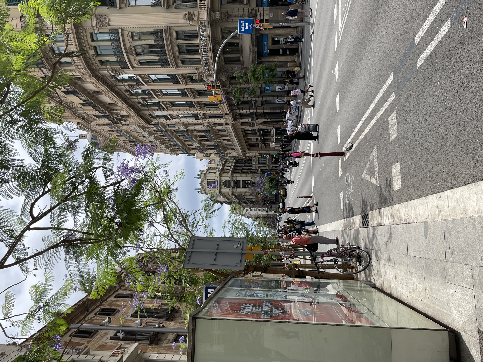 The image depicts a street scene in Barcelona, Spain, likely during the daytime given the bright sunlight and shadows. It is a wide, paved street with multiple lanes, marked by white lines indicating traffic lanes and a pedestrian crossing.
Several people are visible on the street and sidewalk. Some are walking across the street at the designated crossing, while others are standing on the sidewalk or near a bus stop shelter. One person is on a bicycle parked on the sidewalk, with their arms resting on the handlebars. The atmosphere appears to be one of normal urban activity, with no overt signs of distress or celebration.
The setting is characterized by tall, ornate buildings lining the street, typical of European city architecture. Some of these buildings have balconies and decorative elements. Lush green trees with purple flowers are interspersed along the sidewalk, adding a touch of nature to the urban environment. The sky is overcast but bright, suggesting a pleasant, though not perfectly sunny, day.
There is visible text on street signs, including a blue sign with white text that appears to indicate "Taxi" and a bicycle symbol. Another sign visible has the logo of "Sabadell", likely a bank. Advertisements are also displayed on the bus stop shelter, though the text is not clearly legible. The overall scene conveys the bustling energy of a European city on a typical day.