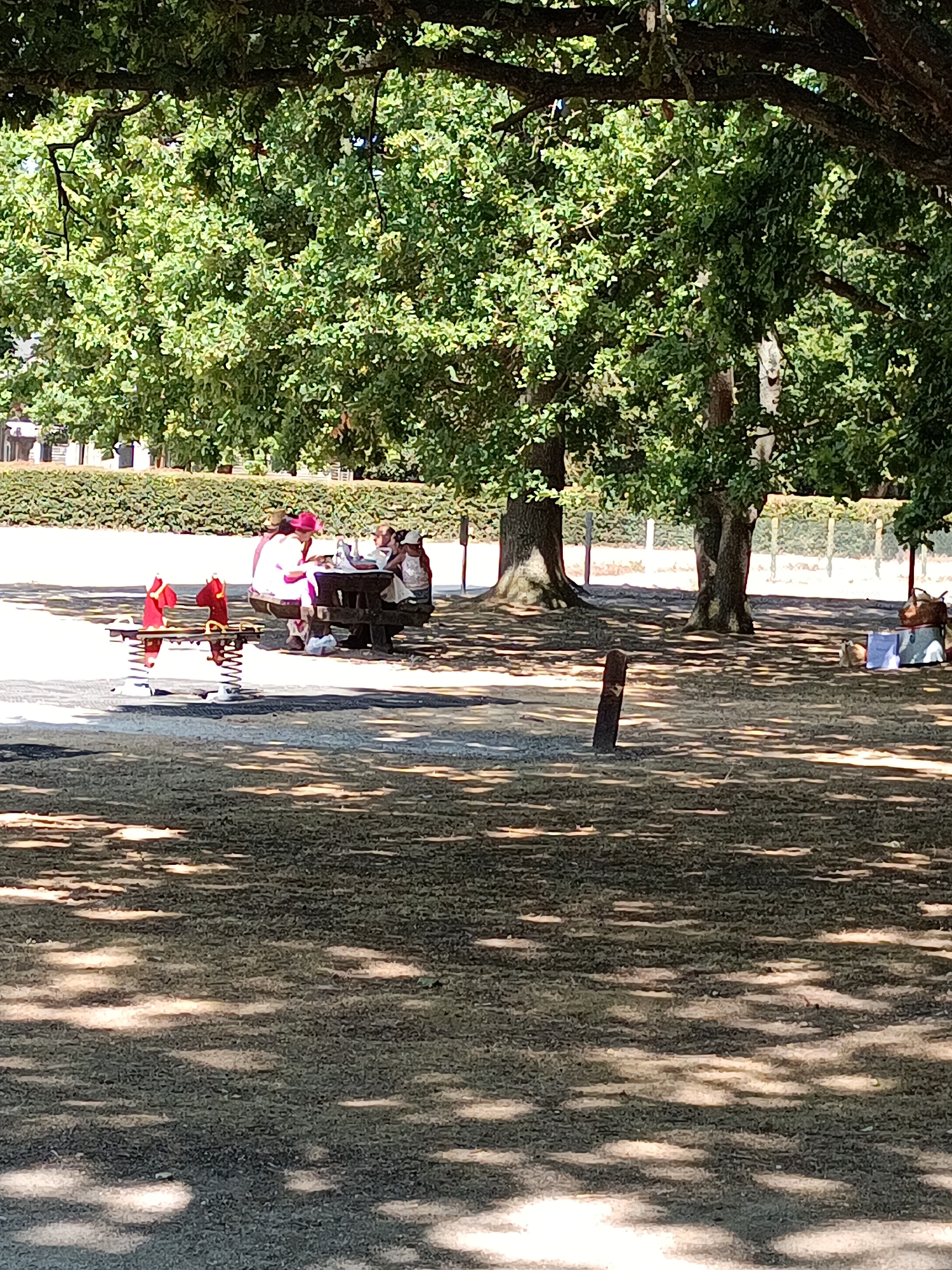 In the city of Jumièges, France, an outdoor scene unfolds beneath the dappled shade of large trees. In the foreground, a red spring rider, shaped like a horse, sits on a playground surface. Further back, a picnic table is occupied by a group of individuals, appearing to be a family, enjoying a meal. One person, wearing a pink hat, is visible. Adjacent to the picnic area, a basket and bags are placed on the ground. The environment suggests a park or recreational area, with a manicured hedge visible in the background. The overall impression is one of a peaceful, sunny day spent outdoors.