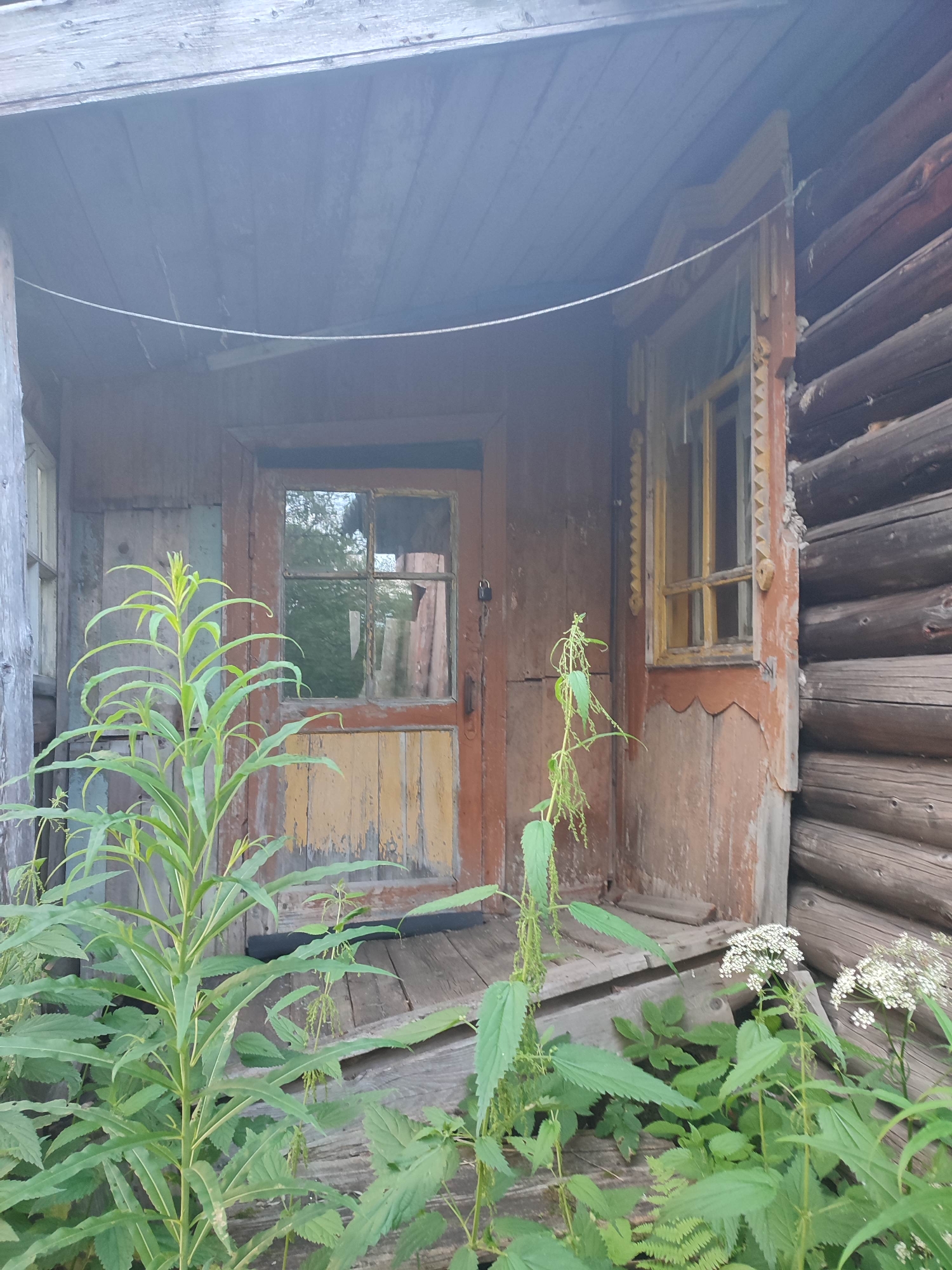 The image depicts the exterior of a weathered, rustic wooden structure, likely a house or cabin, in Gremyachinsk, Russia. The scene is overgrown with lush green vegetation, including tall plants with broad leaves and delicate white flowers, suggesting a natural, uncultivated setting.
The main subjects are the building itself and the surrounding plants. The building features a wooden porch with a worn wooden floor and steps. A wooden door, painted with patches of yellow and red, stands centrally, featuring a small window pane that reflects the surrounding greenery. To the right of the door is a window with a yellow frame and decorative carved trim, further adding to the rustic charm. The walls of the building are constructed from rough-hewn logs.
No people are visible in the image, and no specific activity or event is taking place. The scene appears still and quiet, with nature reclaiming the man-made structure.
Notable details include the peeling paint on the door and window trim, indicating age and exposure to the elements. The overcast sky, suggested by the diffused light and muted colors, points towards a cloudy day. The dense foliage and wild plants imply a setting that is either rural or has been left untended for some time. The presence of a small padlock on the door hints at the structure being unoccupied or secured.
No visible text is present in the image. The overall mood is one of solitude and rustic beauty, with a sense of time passing and nature's resilience.