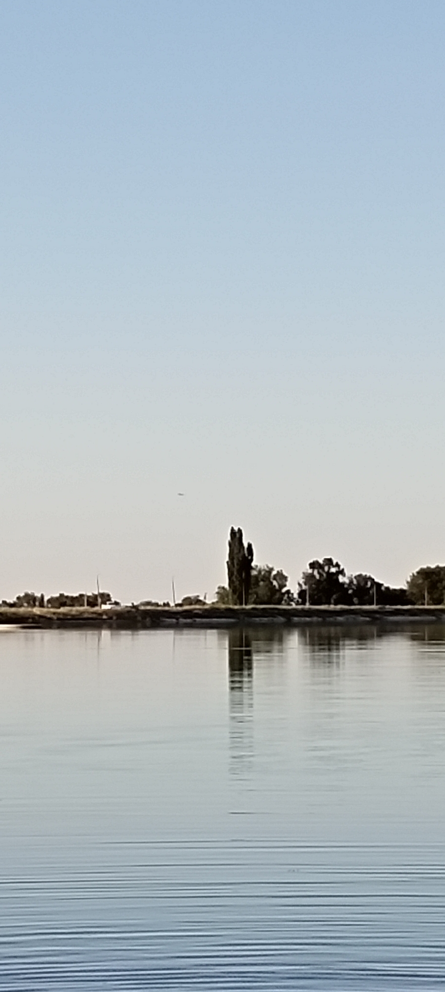 The image depicts a tranquil body of water, likely a lake or large river, reflecting a clear, pale blue sky. The water's surface is disturbed by gentle ripples, creating horizontal lines. Along the distant horizon, a thin strip of land is visible, lined with trees and some structures. The most prominent feature on the land is a cluster of tall, slender trees, with one particularly tall, dark tree standing out. The overall scene suggests an outdoor environment, possibly a park or natural area, bathed in soft daylight. There are no people or animals visible in the image. The location in the city of Aral, Kyrgyzstan is not discernible from the visual information provided.