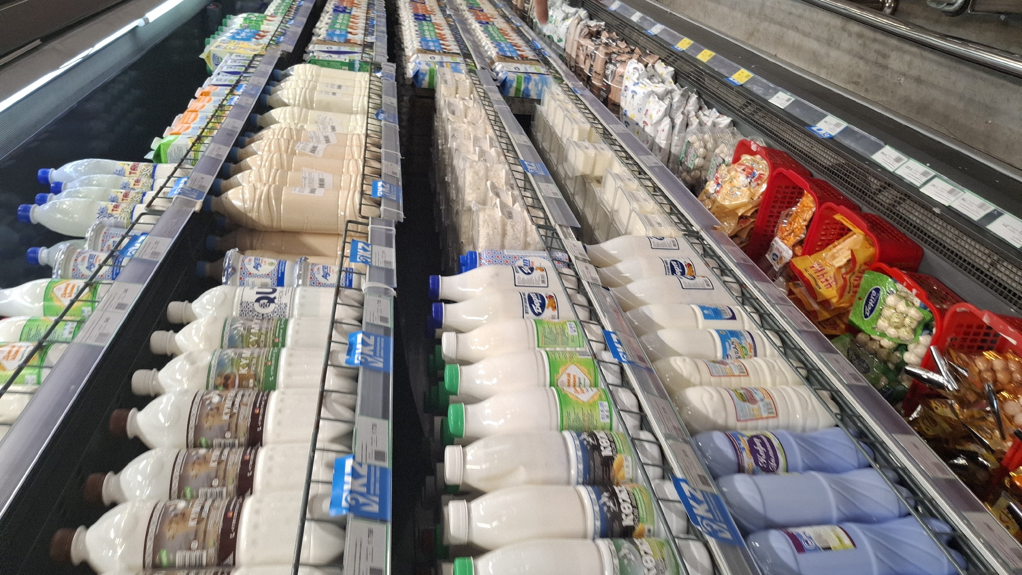 The image depicts a grocery store aisle in Shymkent, Kazakhstan, with a focus on dairy products and other packaged goods displayed on refrigerated shelves. The aisle is lined with numerous bottles of milk, kefir, and other dairy beverages, primarily in plastic containers of varying sizes and colors. Several shelves are filled with these products, showcasing a wide selection available to consumers.
On the lower shelves, red plastic baskets contain various food items, including packaged snacks and possibly small food items like dumplings or meatballs. Some of these packages have colorful designs and visible text in Cyrillic script, consistent with products found in Kazakhstan. Other shelves display larger containers of dairy products, some with prominent branding that appears to be in Cyrillic. The overall environment is well-lit, typical of a supermarket setting, with metal shelving and a concrete floor. There are no visible people in the frame, suggesting the photo was taken during a time when the aisle was not crowded. The arrangement of products and the visible labels indicate a retail space designed for mass consumption, specifically within a Central Asian context.