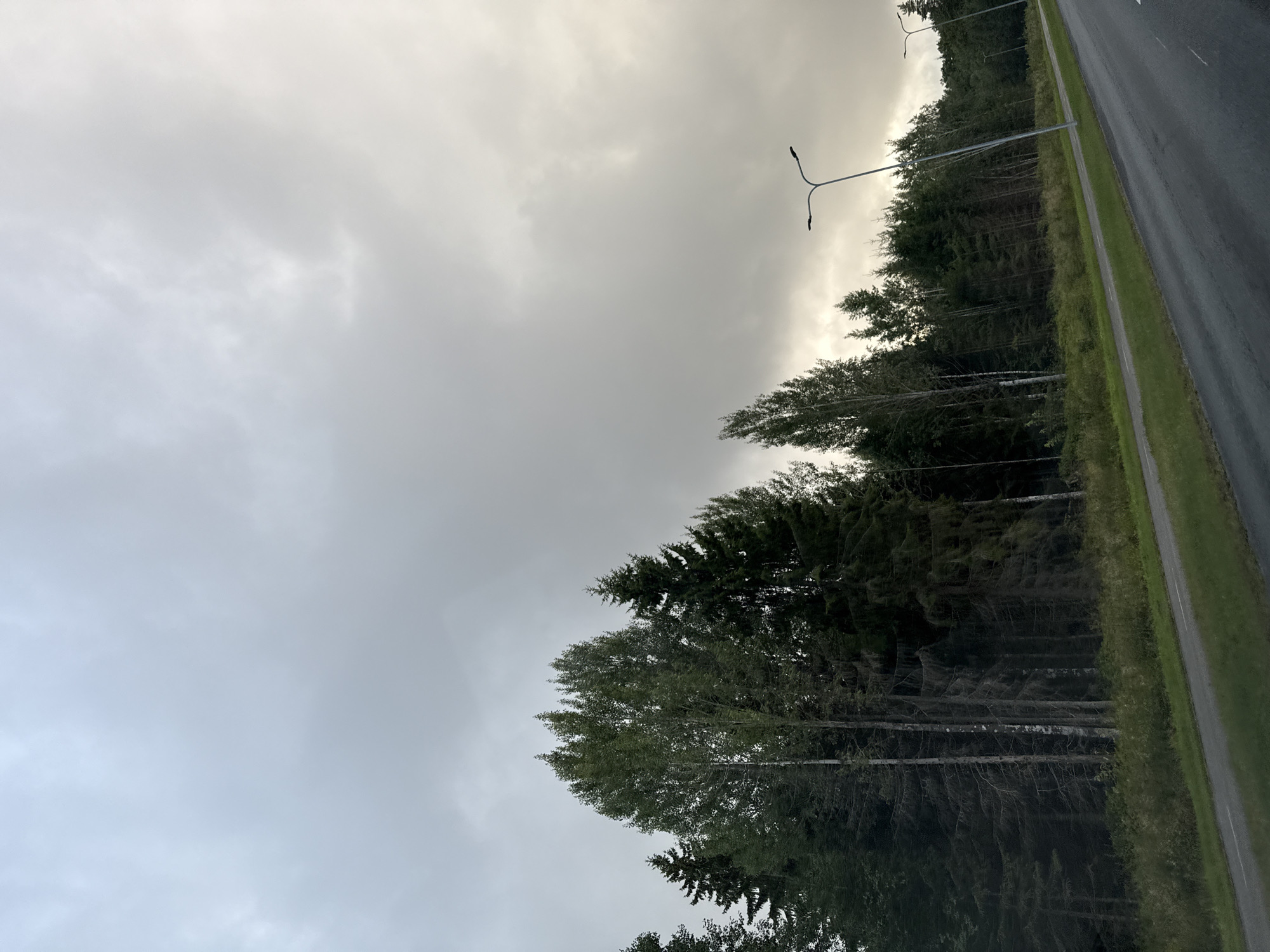 The image depicts a roadside view in Kangru alevik, Estonia, under an overcast sky. A paved road curves diagonally from the lower right to the middle left of the frame, bordered by a grassy verge and a sidewalk or bike path. To the left of the road, a dense forest of tall evergreen and deciduous trees stretches across the landscape. Several modern streetlights with dual arms are visible along the roadside, some in the foreground and others receding into the distance. The sky is filled with thick, grey clouds, suggesting a cloudy or potentially rainy day. No people or vehicles are present in the scene.