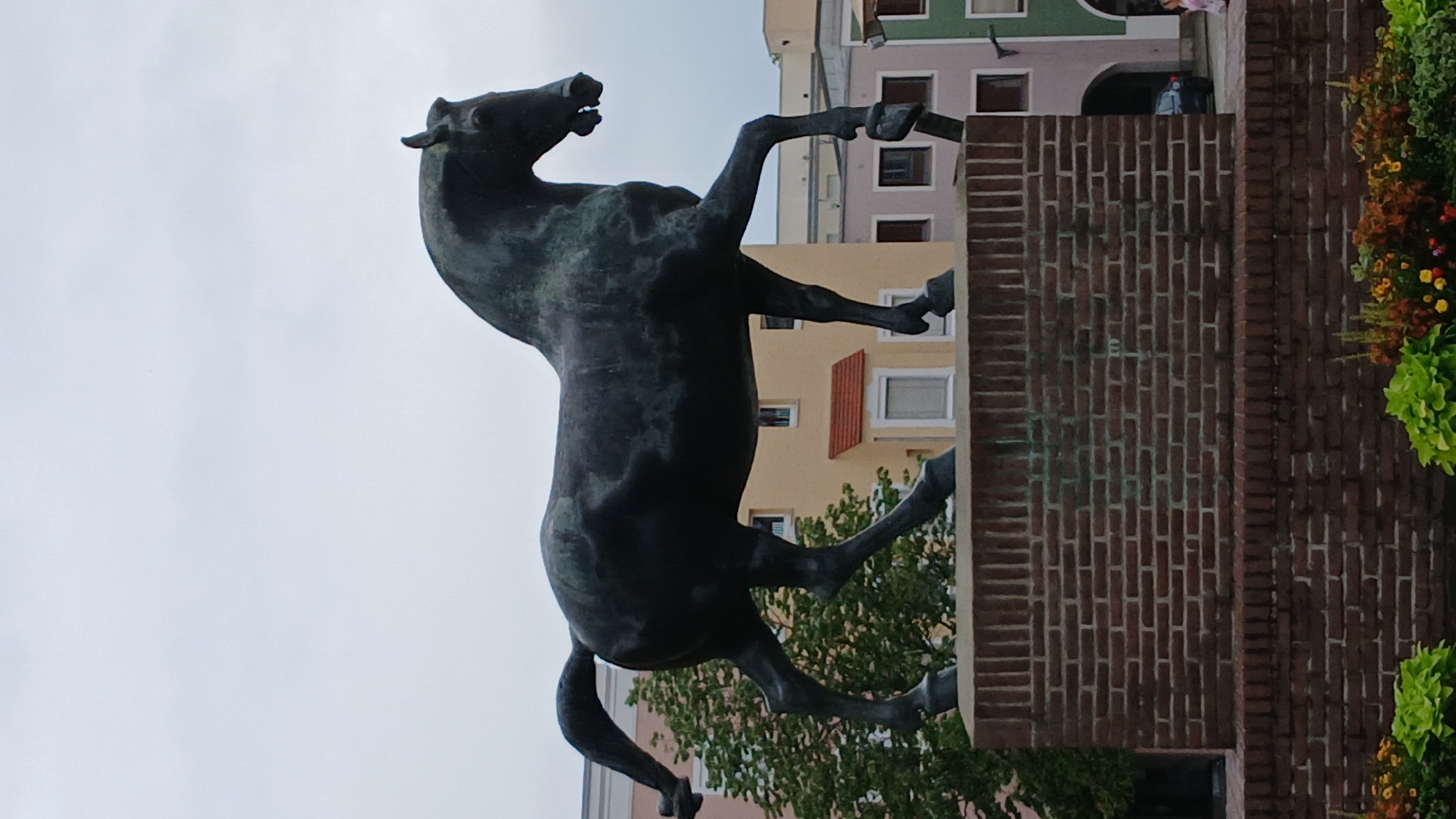 This media file captures a bronze statue of a horse rearing on its hind legs, with its front legs outstretched. The statue is dark in color and appears to be made of weathered metal, with some green patina visible. It is positioned against a backdrop of buildings and a cloudy sky.
The buildings behind the statue are of varying heights and colors, suggesting an urban or town setting. One building is painted a light yellow with several windows and a distinctive orange-red slanted panel. Another building is a pale pinkish-beige with multiple windows, and a building to the far left is green with a series of dark windows. The sky is overcast, indicating a cloudy day.
In the foreground and to the right of the statue, there is a brick structure. The bricks are predominantly red, with some lighter shades and signs of wear. Lush green foliage and some colorful flowers, with hints of orange and yellow, are visible cascading down from the top right of the frame, likely part of a floral display on or near the brick structure.
The statue's dynamic pose and the cloudy weather contribute to a somewhat dramatic and powerful atmosphere. The scale of the statue suggests it is a public monument. While the image is taken from a low angle, making the statue appear even more imposing, there is no visible text in the frame. The location is identified as Pfarrkirchen, Germany, which suggests this is likely a landmark within that town.