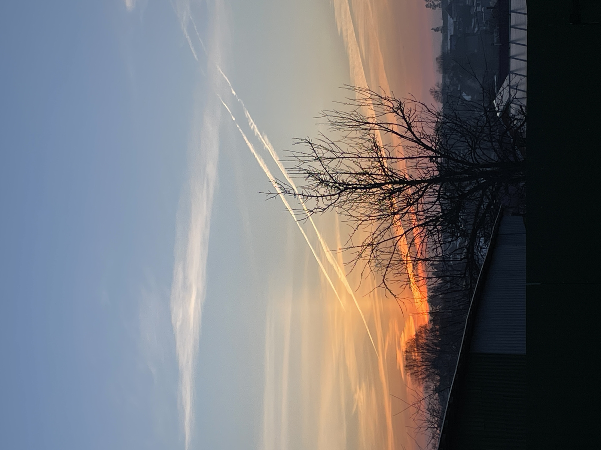 The image shows a sunset sky with contrails of airplanes, with some trees and buildings in the foreground. The sky transitions from blue to orange and pink. The location is indeterminable from the image. There are no people visible in the image.