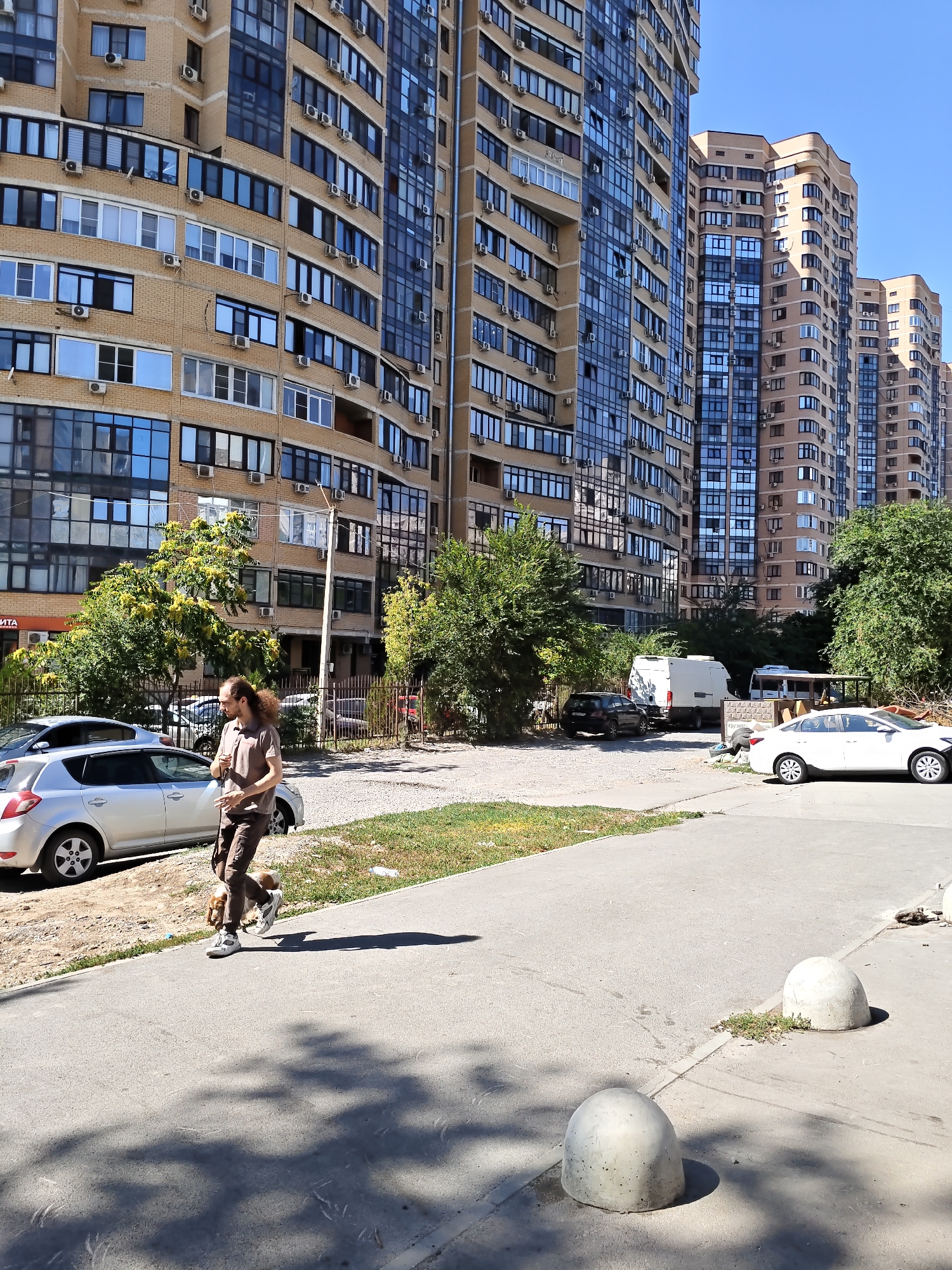This image depicts a street scene in Rostov-on-Don, Russia. In the foreground, a person with long, curly brown hair is walking a small brown and white dog. The person is wearing a light brown t-shirt and dark brown pants. The dog is on a leash. Behind them, a silver car is parked. The background is dominated by a series of tall, modern apartment buildings with beige brick exteriors and numerous windows. Trees with green foliage and yellow flowers are visible between the buildings and the street. The sky is clear and blue. In the distance, more apartment buildings can be seen. Several white concrete bollards are placed along the edge of the sidewalk.