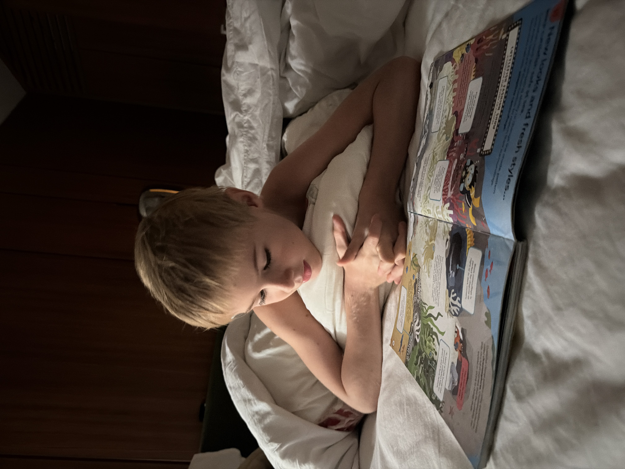 A young boy is lying in bed, engrossed in reading a book. The scene appears to be indoors, likely in a bedroom. The boy has fair skin and blond hair, and he is wearing a white top. He is positioned in the bed with white sheets and pillows, holding the book open in front of him. The book features colorful illustrations and text. The environment is dimly lit, suggesting it might be evening or night. There is dark wood visible on the wall behind the bed.
While the image provides details about the boy and his surroundings, it does not provide information about the location in the city of Kuta Selatan, Indonesia.