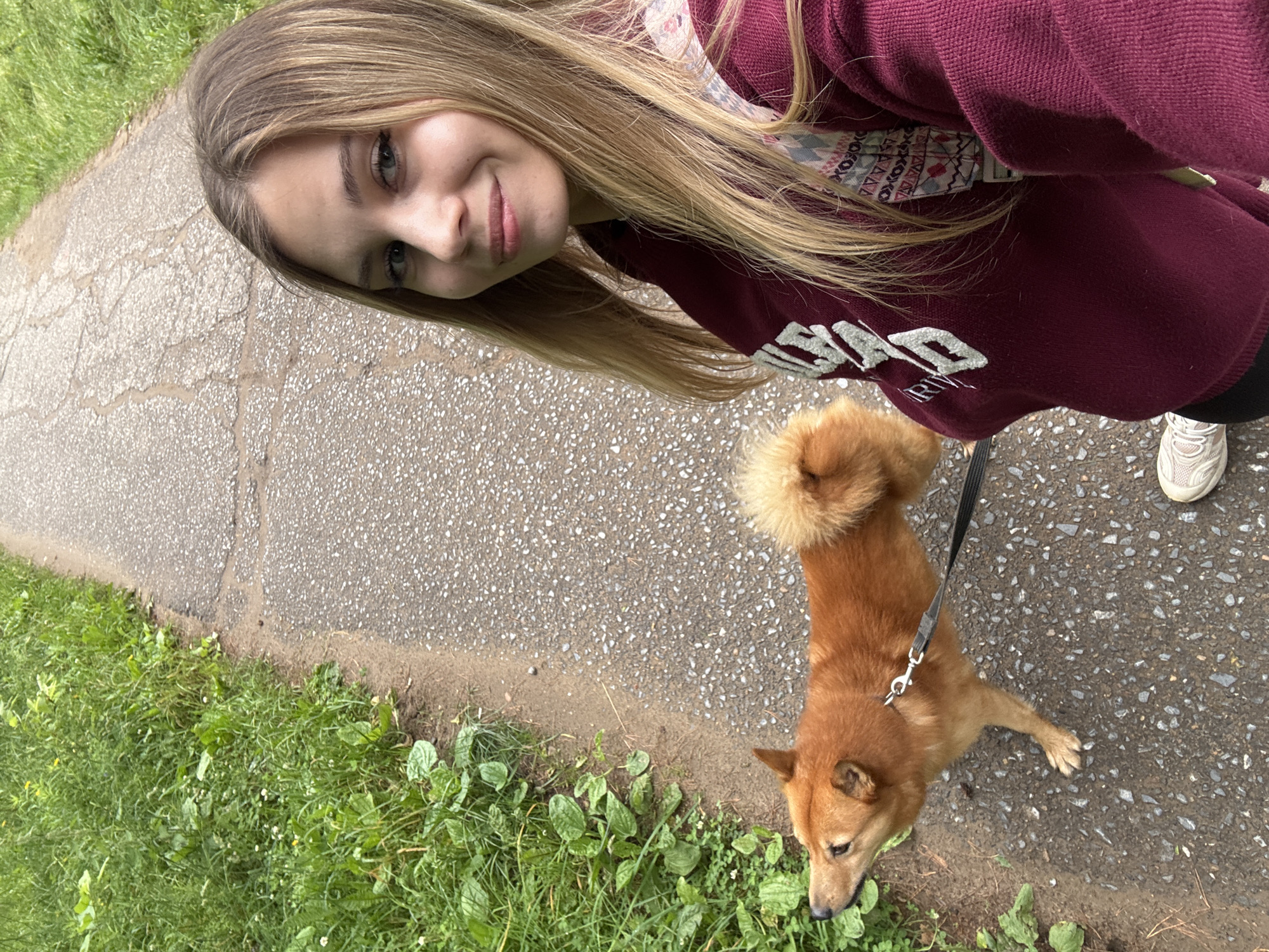 The image shows a young woman and a small, reddish-brown dog walking on a paved path lined with grass. The woman is taking a selfie, with her face turned towards the camera, smiling. She has long, blonde hair and is wearing a maroon sweater with a patterned scarf or collar peeking out from underneath. The dog, on a black leash, is looking down at the grass beside the path. It has a fluffy tail that curls up over its back. The path appears to be made of asphalt with some cracks and patches of lighter colored material. The grass is green and somewhat overgrown, with some small plants and weeds mixed in. The lighting suggests it is daytime, possibly overcast given the lack of harsh shadows. The overall scene depicts a casual outdoor walk. The text visible on the woman's sweater appears to be part of a graphic design, possibly a logo or wordmark, but it is partially obscured and not fully legible. There are no other discernible text elements or strong location cues within the image itself. The context provided indicates the location is Chaikovsky, Russia.
