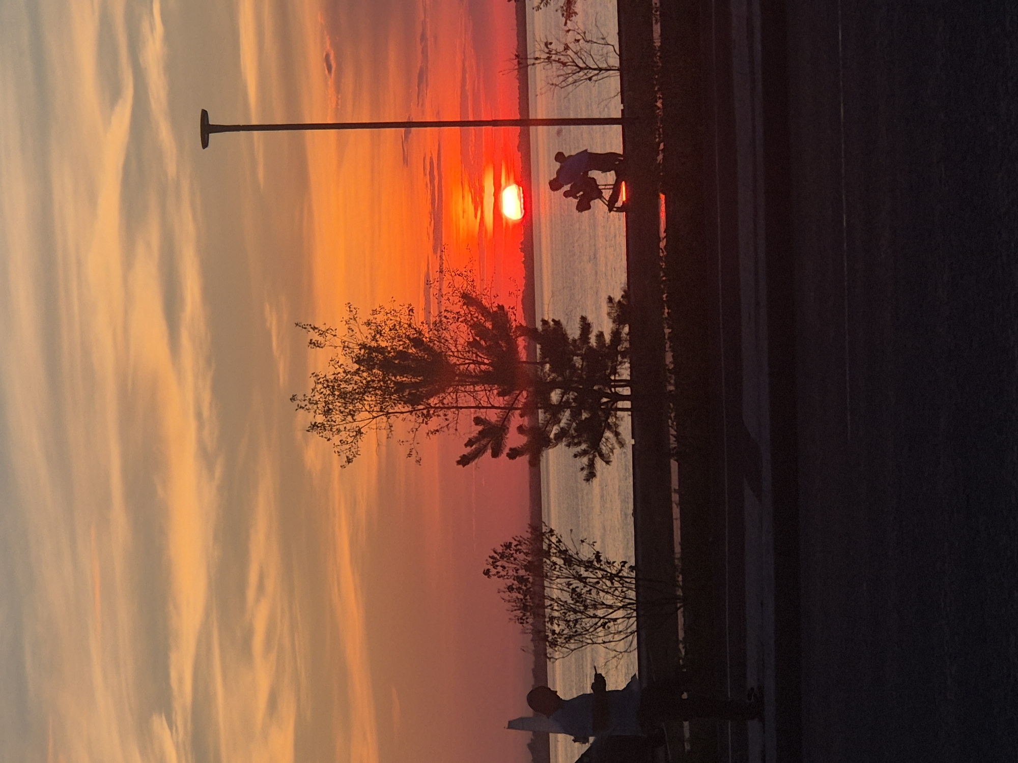 This image depicts a sunset over a body of water, likely a lake, with a prominent vibrant orange and red sky. In the foreground, silhouetted figures are visible. On the left, a man stands looking at his phone. To the right, near the water's edge, two figures are interacting with what appears to be equipment, possibly a telescope, pointed towards the sunset. A single street lamp stands tall to the right of the frame. Trees and bushes are scattered throughout the foreground and middle ground, with a distinct tree in the center. The scene suggests an outdoor recreational area or park. Given the context, this could be a view from one of Kokshetau's lakeside parks or promenades, such as those found along Lake Borovoe or smaller urban lakes within the city.