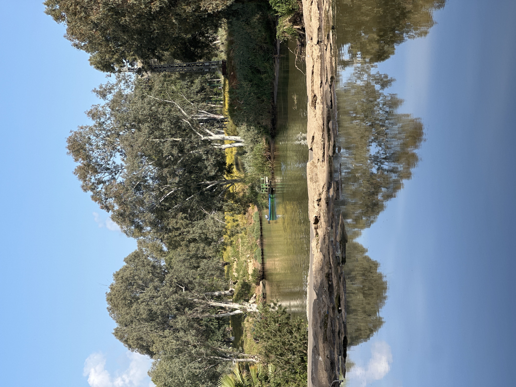 A tranquil natural landscape featuring a river or canal flowing through lush greenery is depicted. Tall, leafy trees, some with prominent light-colored bark, line the banks, their dense foliage providing abundant shade. The calm, slightly green-tinted water perfectly reflects the blue sky, scattered white clouds, and the surrounding trees and vegetation.
No people are visible, contributing to the serene atmosphere. However, signs of human activity are present: a small green boat, possibly a kayak or canoe, is moored alongside a simple wooden dock or platform on the far riverbank. In the distance, partially obscured by the trees, a metal structure, potentially part of a bridge or infrastructure, can be seen.
The scene is captured in bright daylight under a clear blue sky, indicating a sunny morning or afternoon. The overall impression is one of peaceful natural beauty, characteristic of a riverside park or reserve. This environment is consistent with areas like the Yarkon River in Tel Aviv, Israel, known for its verdant banks and recreational opportunities. No text is visible in the image.