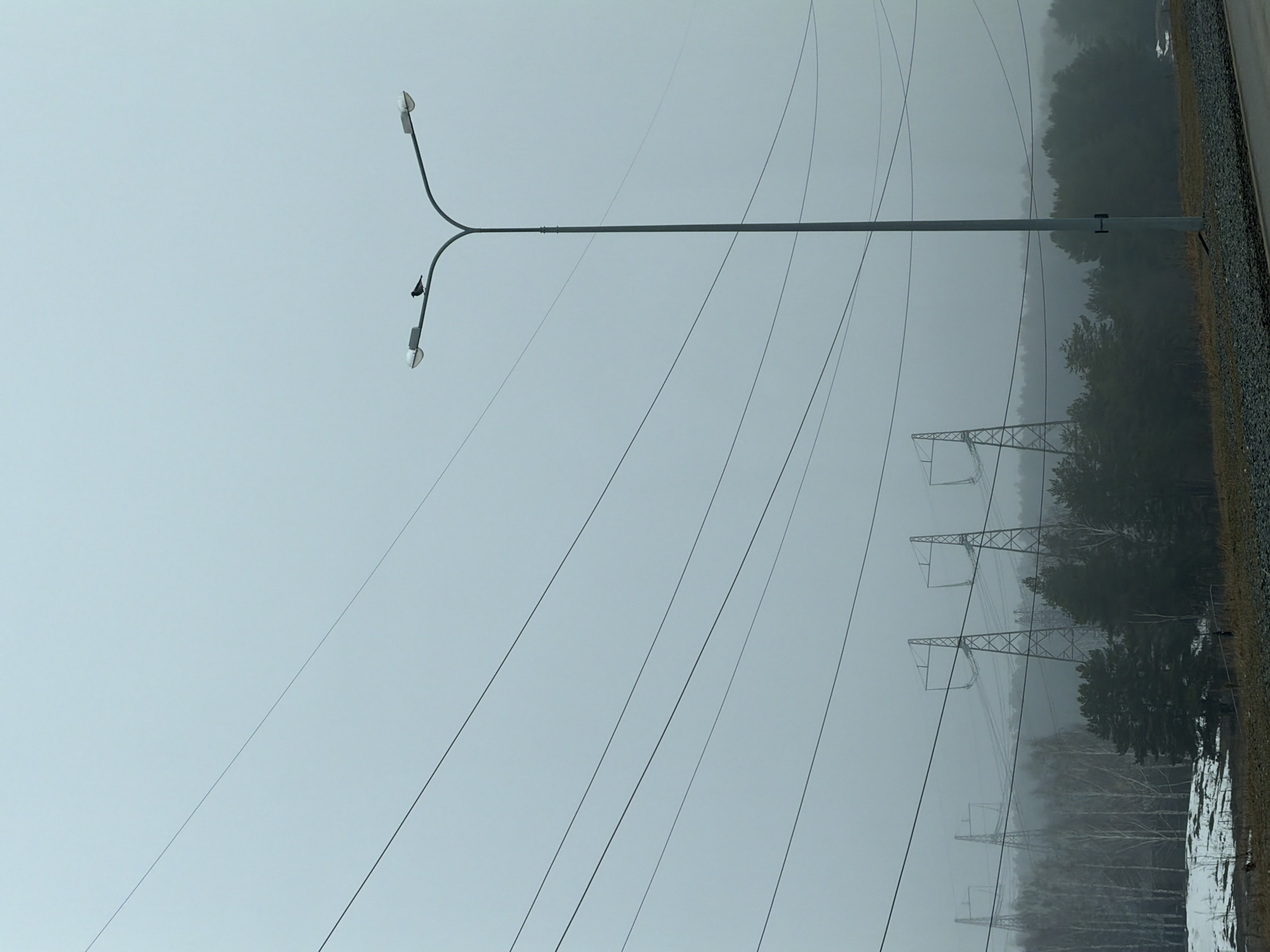 The image shows a landscape in the city of Chaikovsky, Russia. There are power lines crossing the frame, supported by tall metal pylons in the background, fading into the fog. In the foreground, a street lamp stands tall. A dense forest lines the horizon. The sky is overcast, creating a somber atmosphere. Patches of snow are visible on the ground.