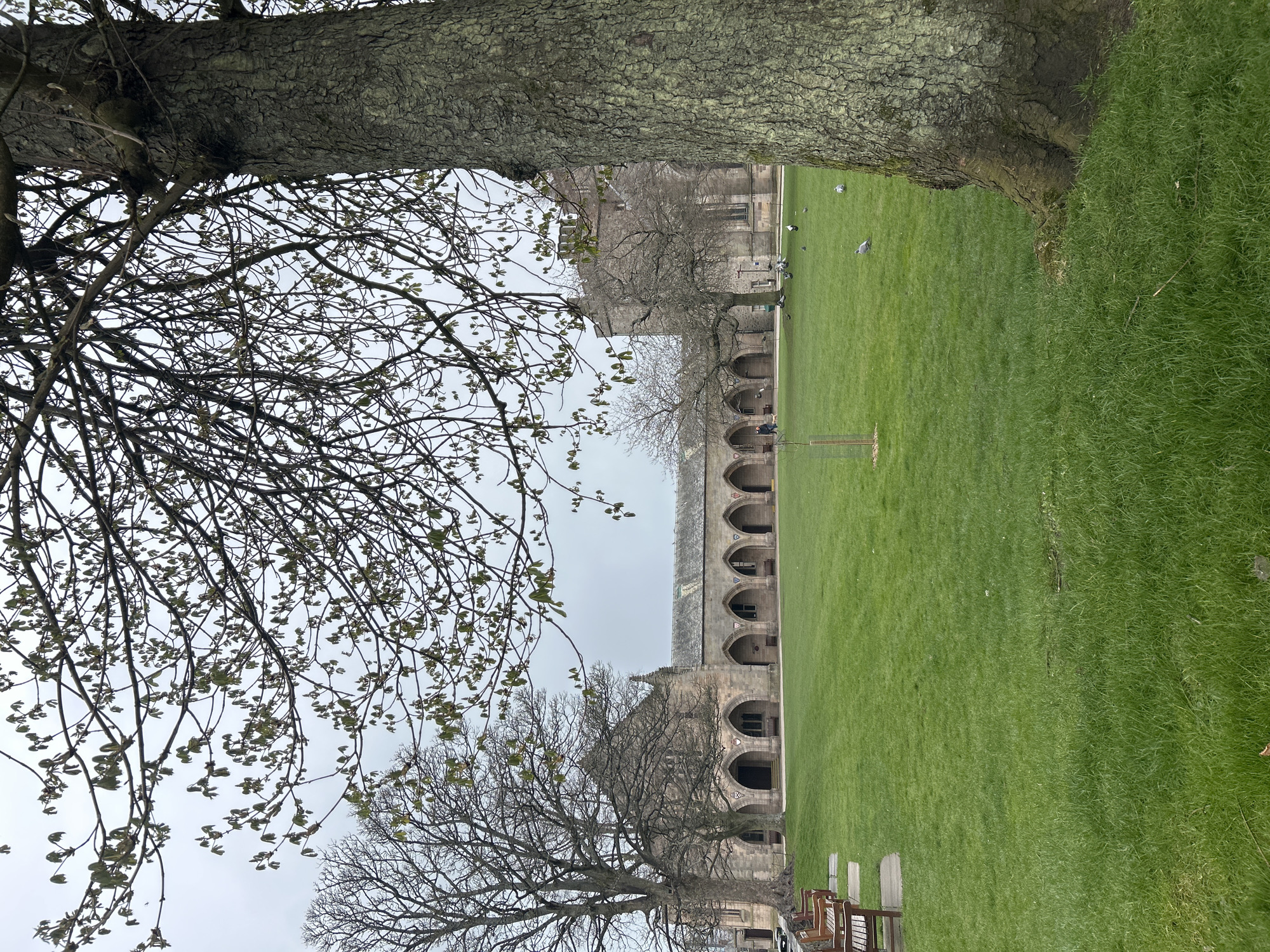 The image shows a green lawn framed by trees, with a stone building featuring arched walkways in the background. The location appears to be within the city of Aberdeen City, United Kingdom. A row of benches is visible on the lower right. Some people can be seen walking along the arched walkways of the building, and birds are visible on the lawn. The sky is overcast.
