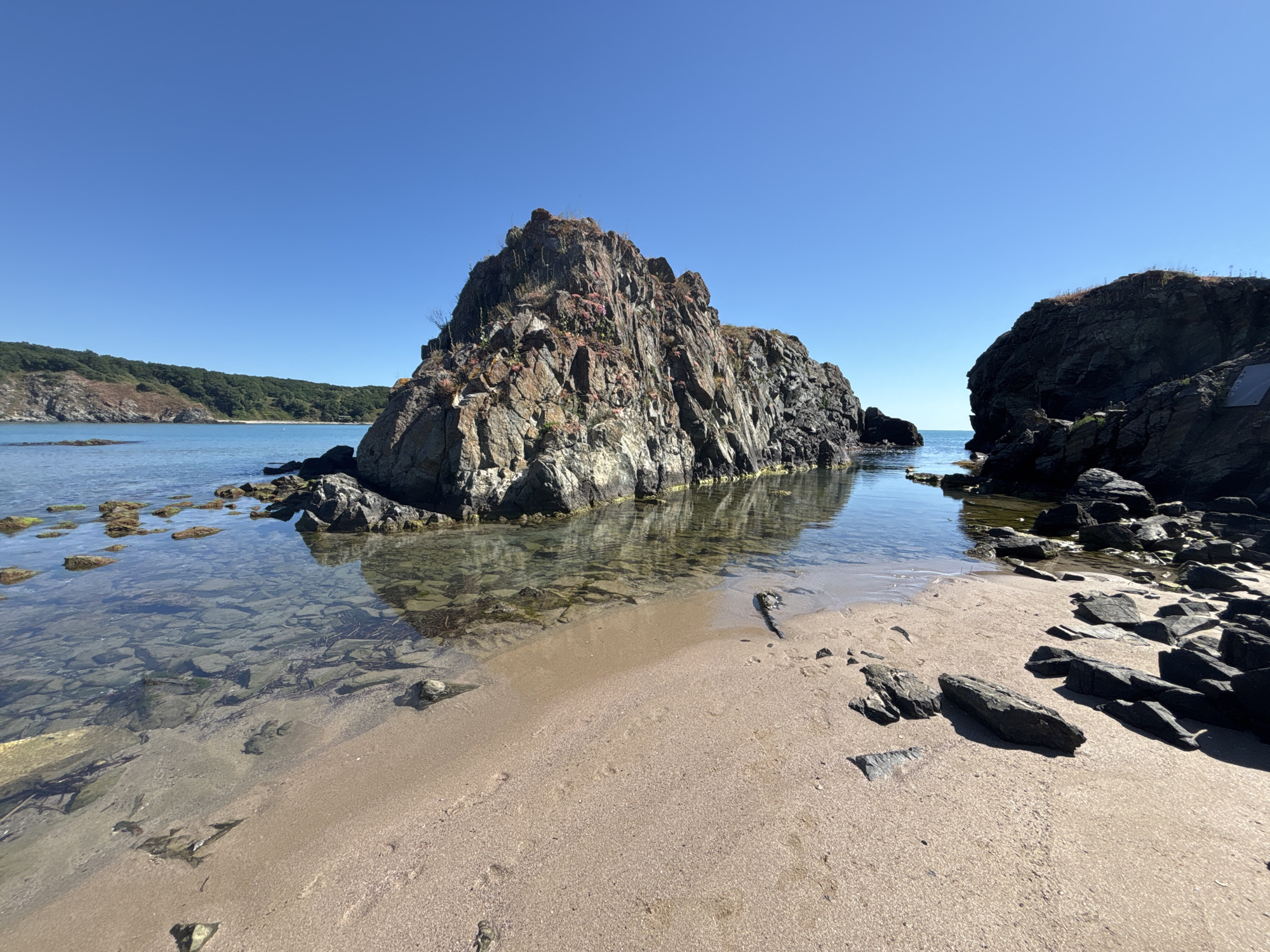 The image depicts a rocky coastline in Rezovo, Bulgaria, under a clear blue sky. In the foreground, a sandy beach meets calm, shallow water revealing submerged rocks and seaweed. To the left, a large, rugged rock formation rises from the sea, its surface textured with various shades of brown and gray, and dotted with small pink flowers. To the right, another dark, imposing rock juts out. In the background, a lush, green, forested hillside slopes down to the sea. The scene is tranquil, with no people or visible activity. The natural environment is the sole focus.
