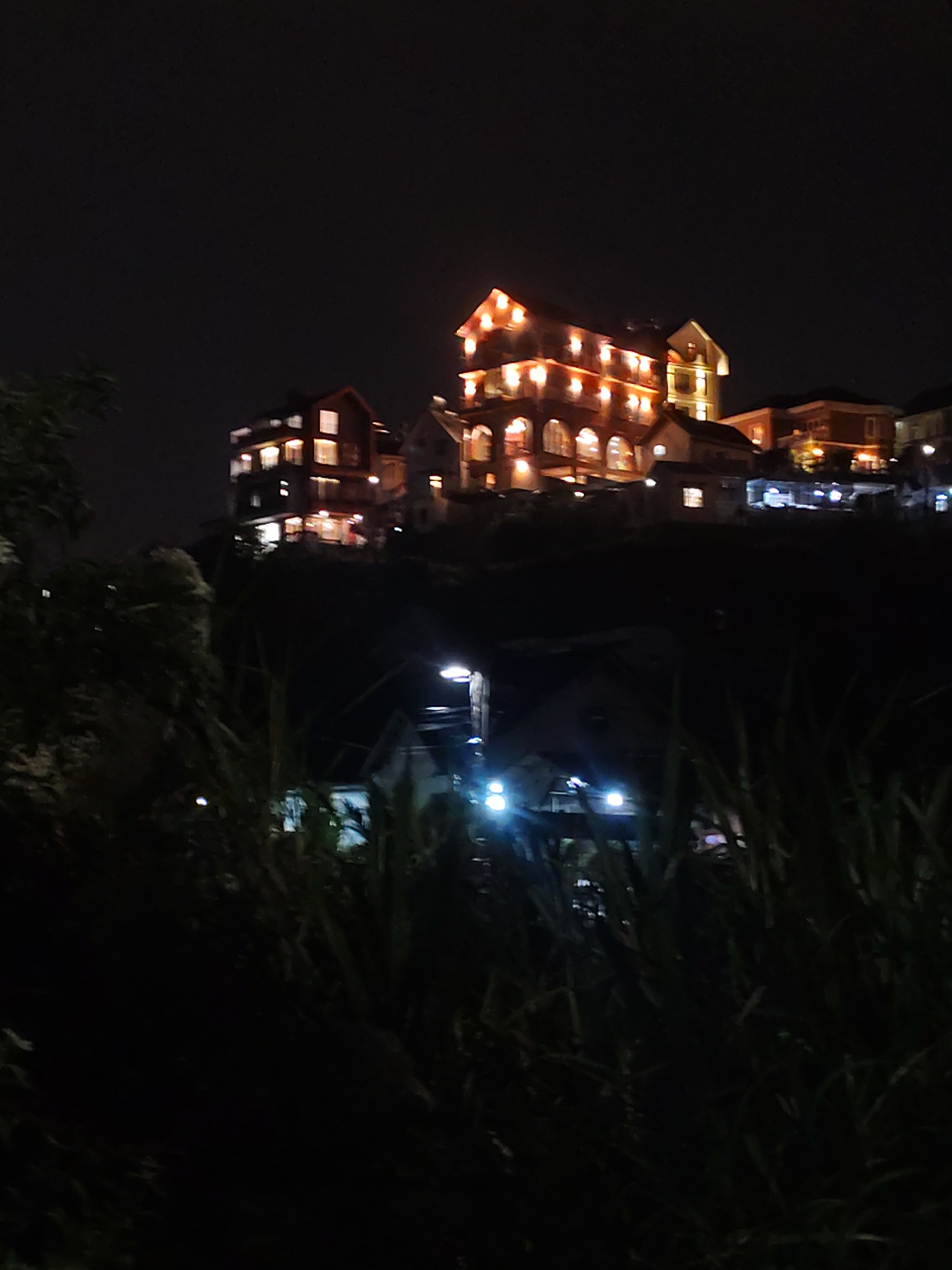 The image depicts a night view of buildings on a hillside, likely in Da Lat, Vietnam. The foreground is dark with obscured plants or bushes. Above, several buildings are illuminated with warm-toned lights, suggesting residential or commercial structures. The largest building, centrally located, has multiple stories and arched windows. Smaller buildings with varying designs are scattered around it. Streetlights are visible in the middle ground, adding to the overall lightscape. The sky is dark and featureless.