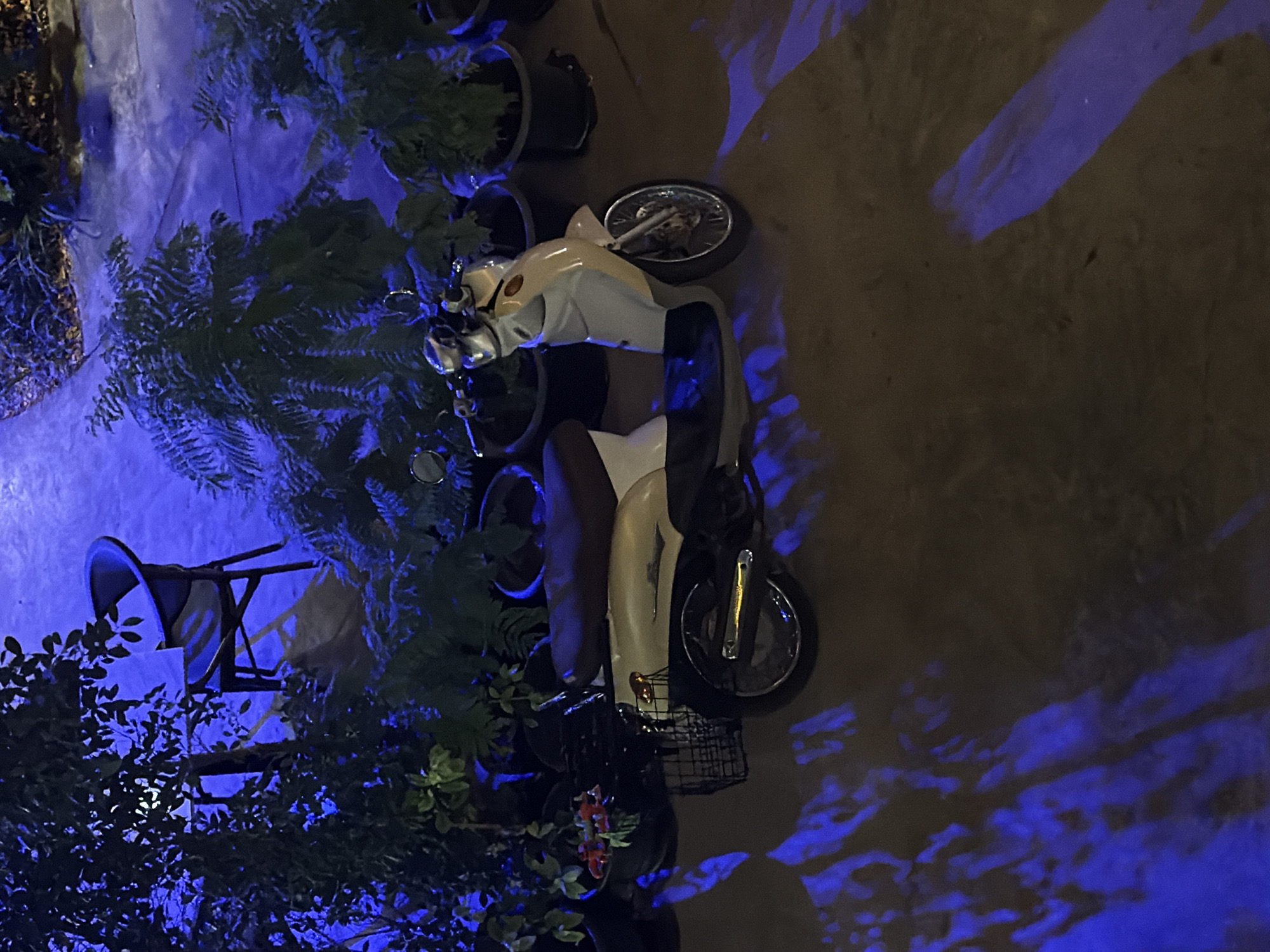This media file captures a scooter parked outdoors at night. The scooter is predominantly white with some brown accents, featuring a basket at the front. It is positioned amongst several potted plants, which are illuminated by a vibrant blue light, creating a striking contrast with the darker surroundings. The ground appears to be concrete or asphalt, with abstract blue light patterns cast upon it, likely from the lighting source. The scene is dimly lit, suggesting it is either nighttime or a very shaded area. The overall ambiance is quiet and still, with no people visible. The presence of potted plants and an outdoor setting hints at a residential or perhaps a small commercial space like a cafe. The blue lighting adds a modern and somewhat artistic element to the otherwise ordinary scene. The location context of Ban Phonsavang Neua, Laos, suggests a potentially tropical or subtropical environment, though no specific weather indicators are present. There is no visible text in the image.