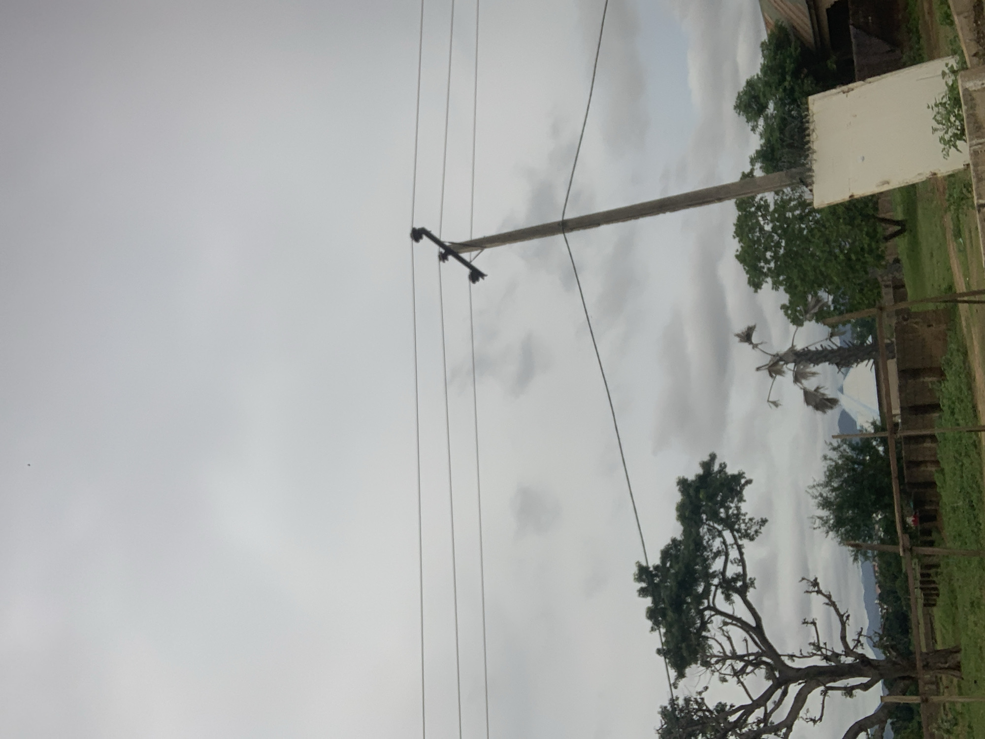 A low-angle, medium shot captures an overcast sky over a rural area in Jalingo, Nigeria. The sky is predominantly gray with scattered darker clouds. In the mid-ground, a weathered wooden utility pole stands vertically, supporting multiple power lines that stretch horizontally across the frame. To the left, a large, gnarled tree with sparse foliage is visible. Beyond the tree and pole, a fence made of concrete blocks and wooden posts separates a grassy area from further vegetation. In the background, distant hills and some buildings are partially obscured by trees and the low-lying clouds. The overall impression is one of a typical day in a semi-rural or developing urban environment, with infrastructure visible against a natural backdrop.