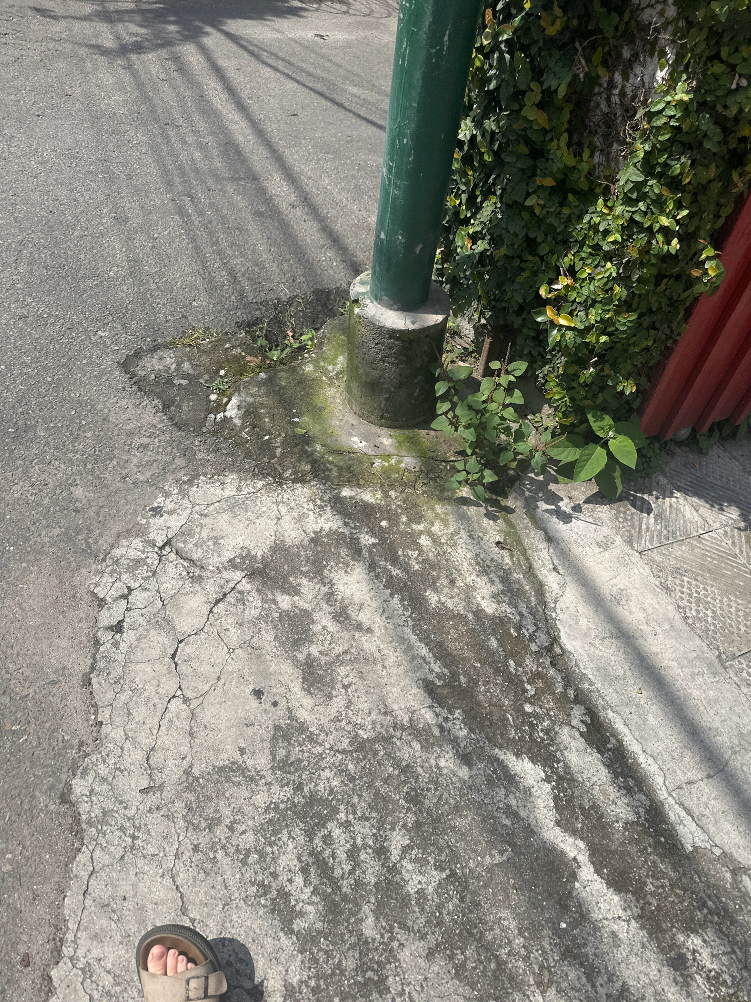 In Lalitpur, Nepal, a green lamppost stands near a wall covered in dense green vines. The lamppost is mounted on a circular concrete base, which is slightly mossy. Adjacent to the lamppost, the ground transitions from asphalt to cracked concrete. A small patch of weeds grows near the base of the lamppost. A person's left foot, wearing a tan sandal, is visible in the lower left corner of the image, standing on the cracked concrete. The scene is illuminated by sunlight, casting shadows from overhead structures onto the ground. A portion of a red fence is visible to the right of the lamppost and vines.
