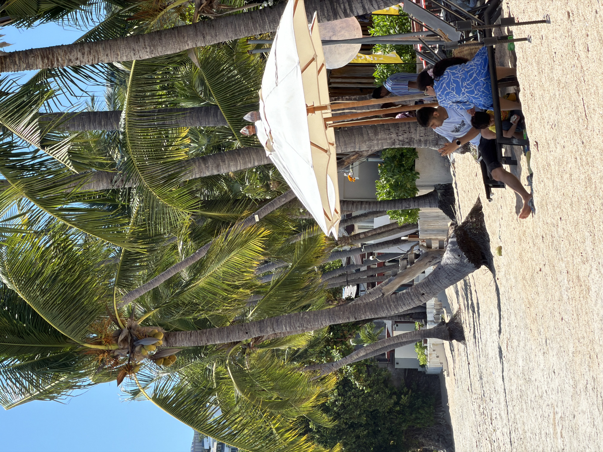 This image captures a sunny scene on a sandy beach in Baan Bang Rak, Thailand, likely at a resort. A family of three is relaxing on lounge chairs under a large white umbrella. A man in a white t-shirt and dark shorts is seated to the left, gesturing with his right hand. Beside him, a woman wearing a blue and white patterned dress is seated, facing away from the camera. Between them, a young child in a yellow shirt is crouching on the sand.
The background is dominated by tall, slender palm trees with lush green fronds, characteristic of a tropical environment. Behind the palm trees, buildings and vegetation are visible, suggesting the presence of a resort or coastal settlement. The sand on the beach is light in color and appears to be made up of fine grains and small shell fragments. The sky is a clear, bright blue. The overall atmosphere is one of a relaxed vacation day.