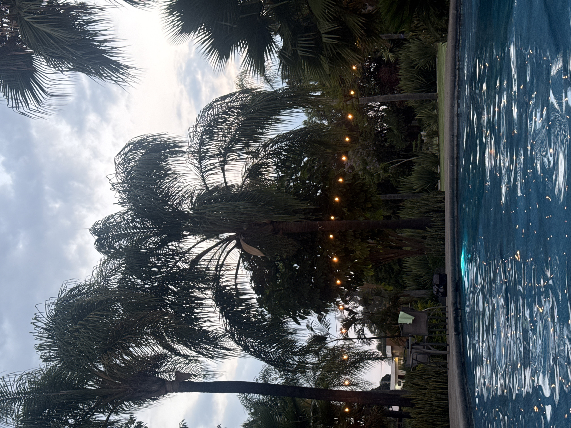 The image displays an outdoor, evening scene featuring a swimming pool, palm trees, and string lights. The shot is composed with the pool occupying the right side and lush foliage, primarily palm trees, filling the left and central portions, extending towards a cloudy sky.
Numerous large palm trees with dense fronds are prominent, silhouetted against a softly lit, overcast sky that suggests either dusk or an early night. A string of warm, glowing incandescent lights is strung between some of the trees, casting a gentle illumination.
The swimming pool's surface is a dark blue, reflecting the artificial lights as shimmering, distorted points of light, indicative of disturbed water. Along the edge of the pool, on what appears to be a paved deck, are a couple of dark outdoor chairs. One chair has a light green towel or piece of fabric draped over it, and another has a black bag resting on it. Beyond the immediate pool area, more tropical vegetation and trees are visible in the background.
The overall ambiance is tranquil and relaxing, consistent with a resort or leisure setting. There are no people visible, nor is there any discernible text within the image. The time of day is clearly evening, as indicated by the active artificial lighting and the dimming natural light from the sky. The location context of Santa Ana Yancuitlalpan (Chilhuacán), Mexico, aligns with the tropical vegetation depicted.