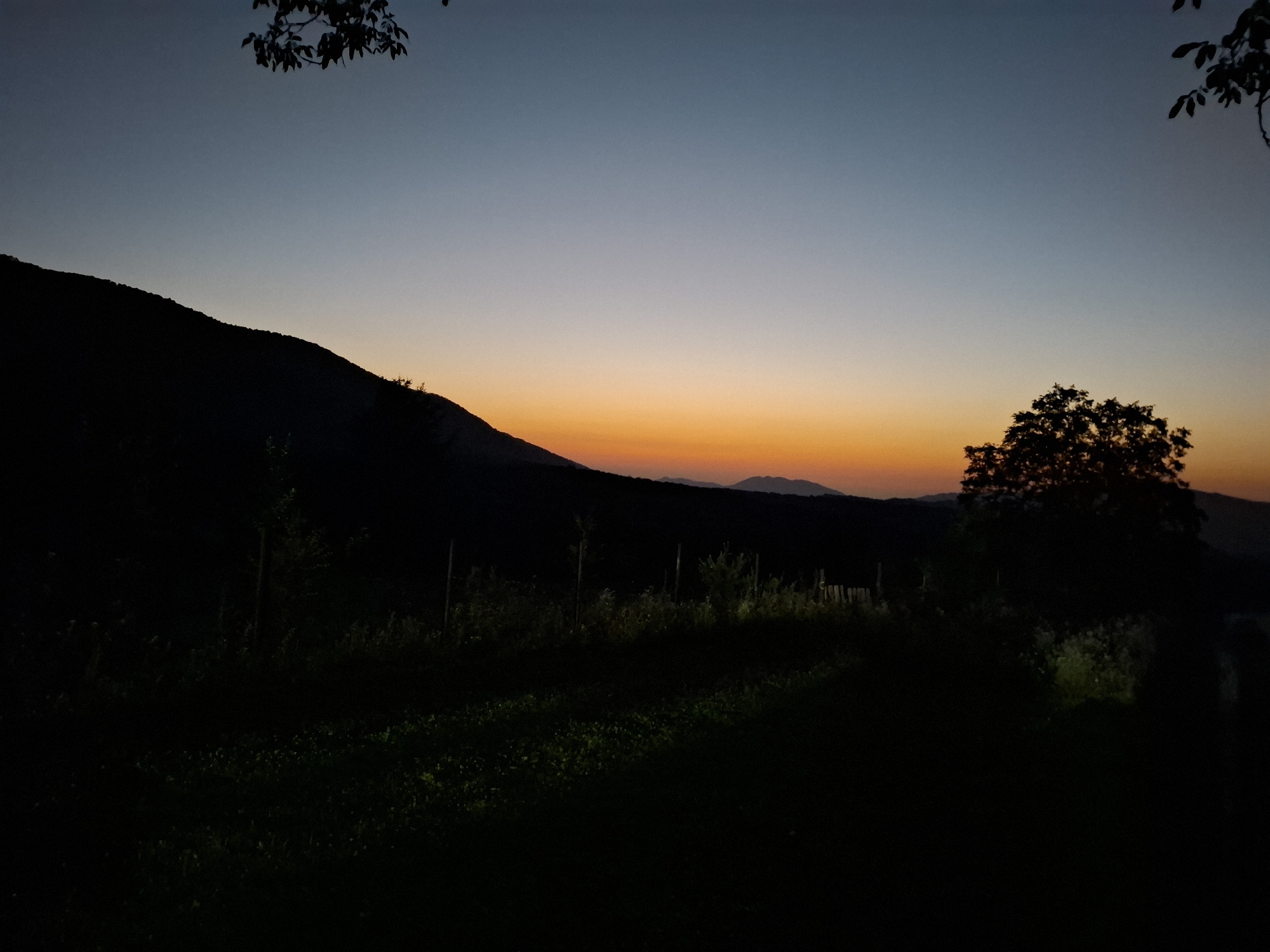 A silhouetted mountain range dominates the left side of the image against a gradient sky transitioning from deep blue at the top to a vibrant orange and yellow near the horizon. A lone tree with dense foliage stands in silhouette on the right side, obscuring the landscape behind it. The foreground is predominantly dark, with indistinct shadows of vegetation and possibly fence posts. The overall scene depicts a twilight or dawn setting in a rural or natural environment, likely in the vicinity of Sel'mentauzen, Russia, given the mountainous terrain. There are no visible people or active events.
