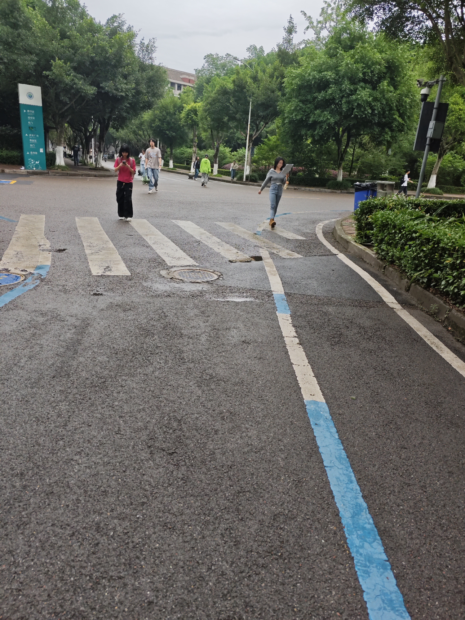 A street scene in the Chongqing High-tech Zone, China, features a pedestrian crossing on an asphalt road. Two women are in the process of crossing the street. The woman on the left is wearing a pink shirt and black pants, looking down at her phone. The woman on the right is wearing a gray top and blue jeans, and is mid-stride. Several other pedestrians are visible in the background, along with trees, a signpost, and buildings. The sky is overcast.
