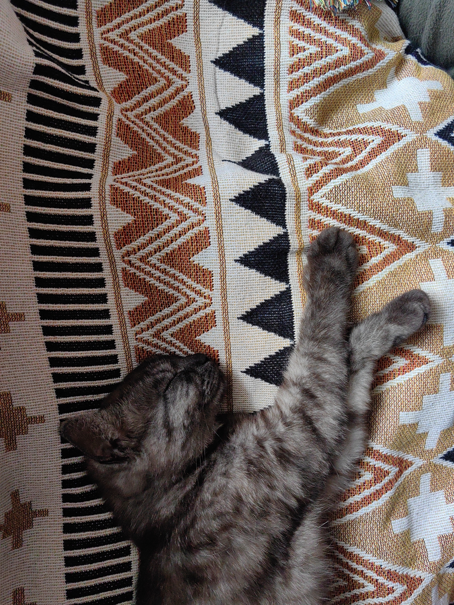 A grey tabby kitten with eyes closed is sleeping on a patterned fabric. The fabric has a geometric design with black, white, and orange/brown zig-zag patterns. The kitten is lying on its back with its legs stretched out. The image is an overhead shot. The location of Зуйское сельское поселение, Ukraine is not evident in the image.