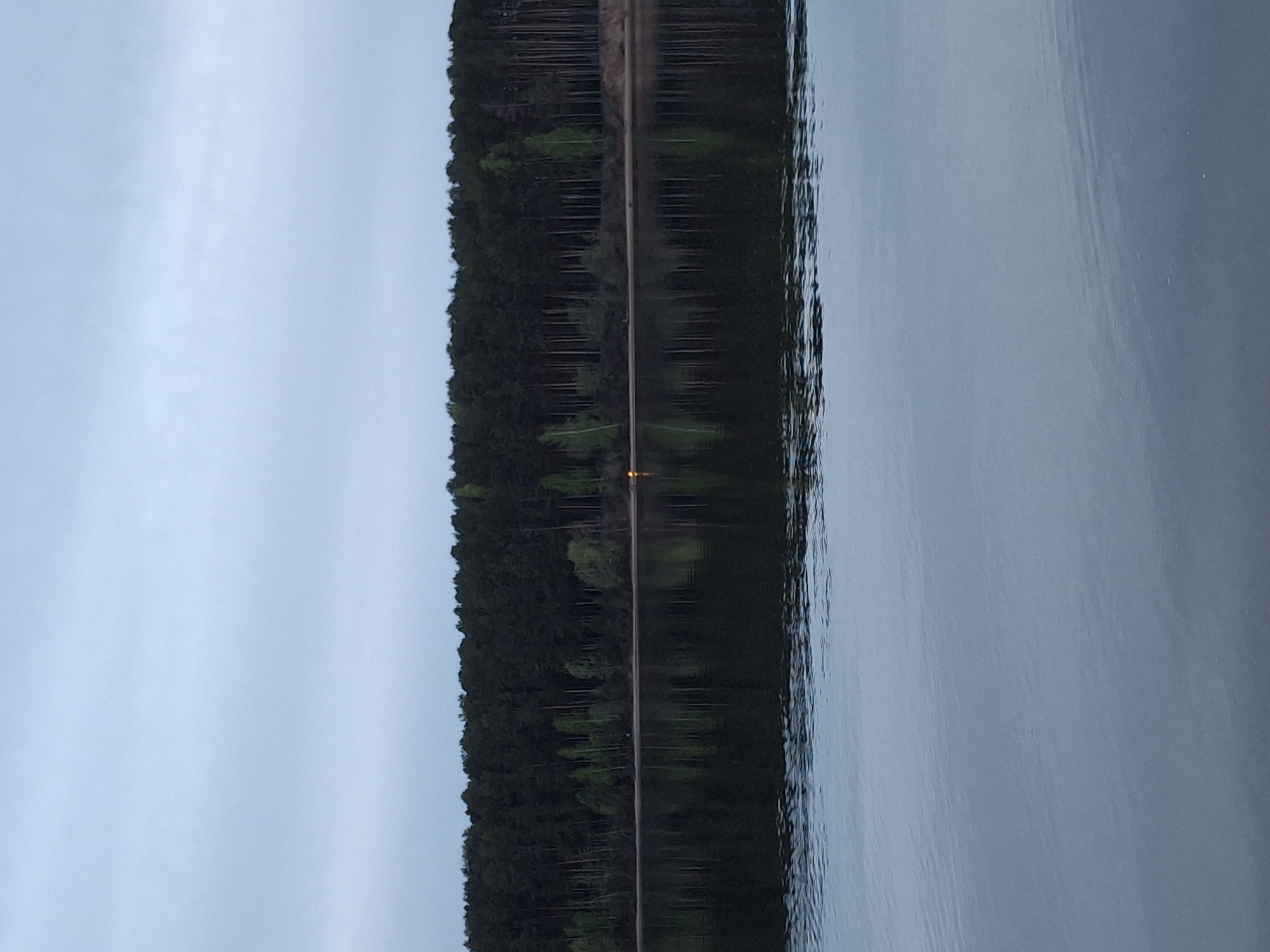 A long, horizontal photograph depicts a body of water reflecting an adjacent, tree-lined landmass under a dusky sky.
The water, occupying approximately half the image, appears still with subtle ripples near the reflection of the trees. The sky is overcast and muted, lending a dim light to the scene. The landmass, situated parallel to the water's edge, is densely forested with trees of varying heights and shades of green. The trees appear dark, densely clustered. A single, illuminated object is visible in the middle.