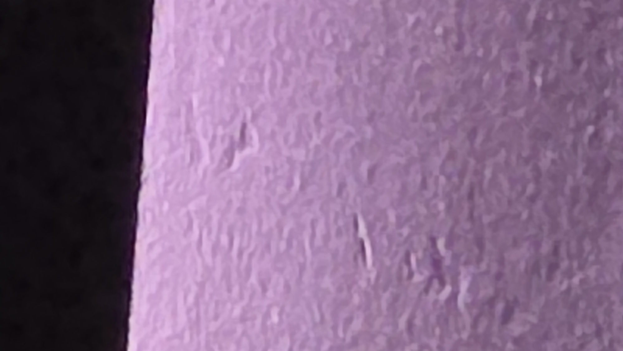 A close-up image shows a textured, light purple surface adjacent to a dark, non-reflective area. The texture of the purple surface appears uneven, with small ridges and depressions visible. No people, subjects, objects, actions, or interactions are evident within the frame. The environment is limited to the surfaces depicted. Location in Sofia, Bulgaria is not evident from the image.