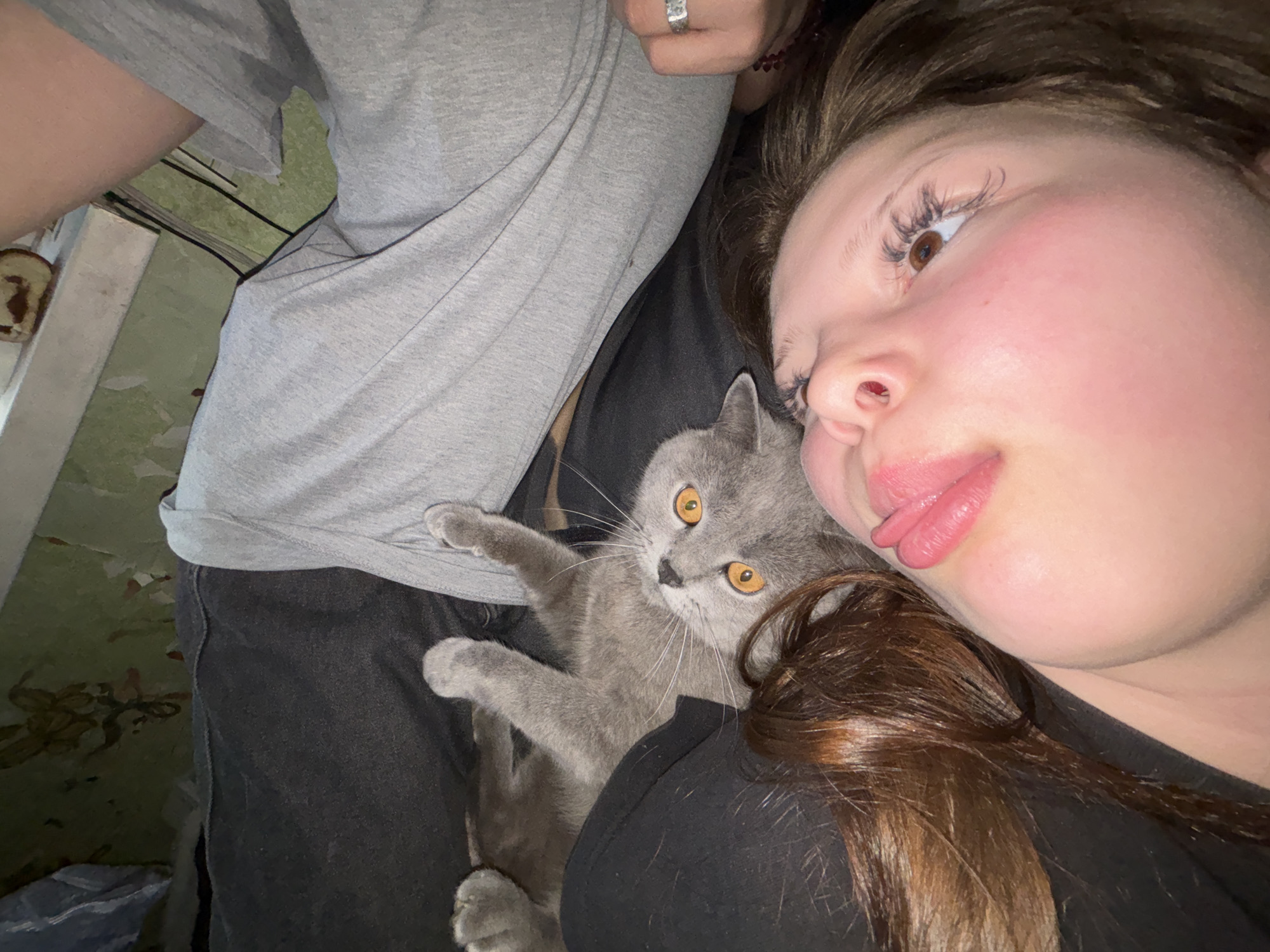 A close-up, indoor shot depicts a young woman with long brown hair lying down with a gray cat nestled against her. The woman has fair skin, pronounced eyelashes, and pink lips. A person wearing a gray t-shirt and black pants is partially visible in the frame. The cat has bright orange eyes and gray fur, with its paws extending towards the person in the gray shirt. The environment appears to be a cluttered room. The location in the city of Фоки, Russia, cannot be verified from the image.