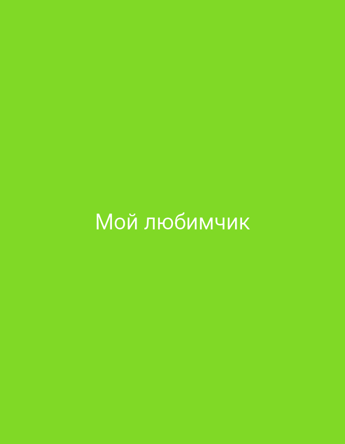The image is a plain, bright green background with white text centered horizontally and vertically. The text reads "Мой любимчик", which translates to "My favorite" in English. There are no other objects, people, or environmental details visible in the image, and therefore no information can be provided about the city of Dedovsk, Russia.