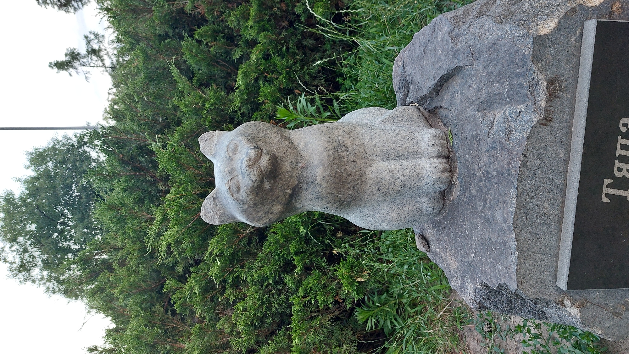A stone sculpture of a cat sits atop a large, rough grey rock. The cat sculpture is light grey and depicts a sitting cat with its paws tucked in front. It has a simplified, somewhat rounded form with distinct ears, eyes, and a small nose and mouth. The sculpture is positioned in front of dense, green foliage. To the right of the cat sculpture, a tall, thin pole rises vertically, disappearing out of frame. The rock on which the cat sits has a dark plaque at its base, partially visible, with some lettering on it. The area around the rock is covered in grass and some sparse green plants. The sky appears overcast.