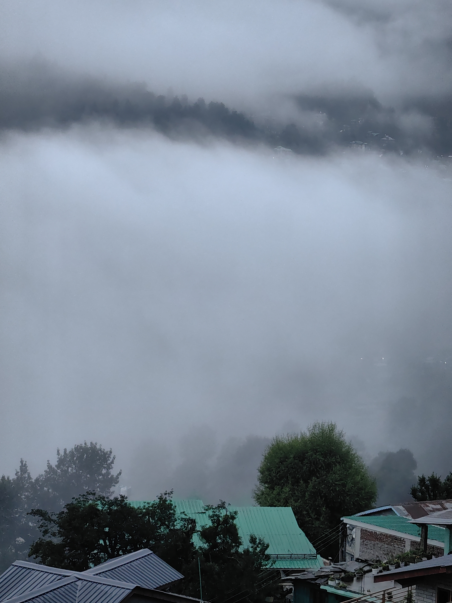 The image depicts a view of houses and trees partially obscured by fog in the city of Vashisht, India. The foreground features the metallic roofs of several buildings, some with a teal color and others with a corrugated gray texture. Behind these structures, dense green trees are visible, some reaching above the rooftops. The mid-ground and background are dominated by heavy fog, which blankets the landscape and obscures distant elements, including what appears to be a hillside with more scattered buildings and vegetation. The overall atmosphere is muted due to the overcast conditions and the pervasive fog, suggesting a cool and possibly damp environment. No people are visible in the image.