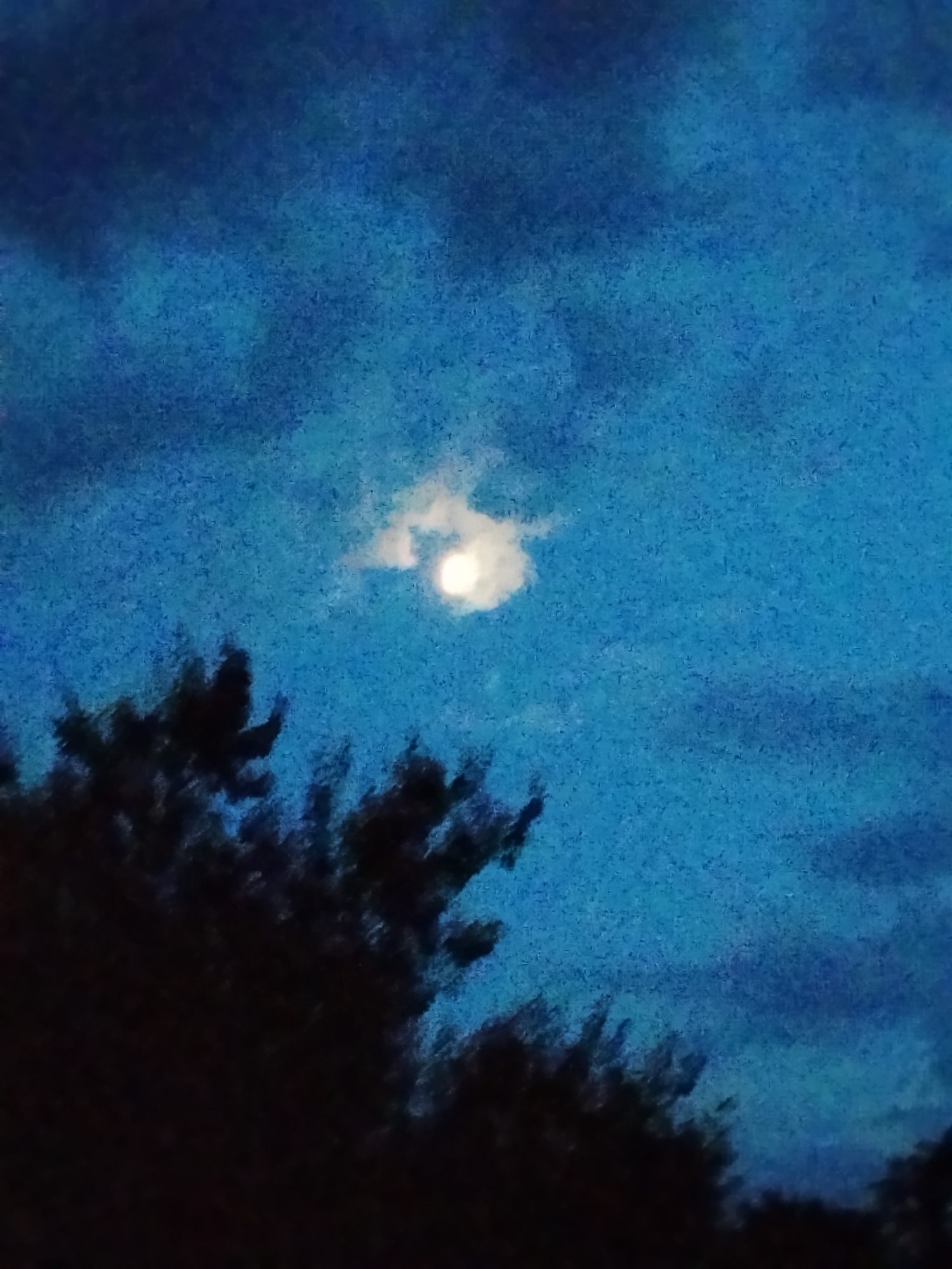 The image captures a night sky in Ustyvytsia, Ukraine. A full moon, partially obscured by a thin cloud, shines brightly against a deep blue sky. Dark silhouettes of trees frame the bottom of the image, their branches reaching upwards towards the celestial body. The overall impression is one of a serene, natural landscape under moonlight.