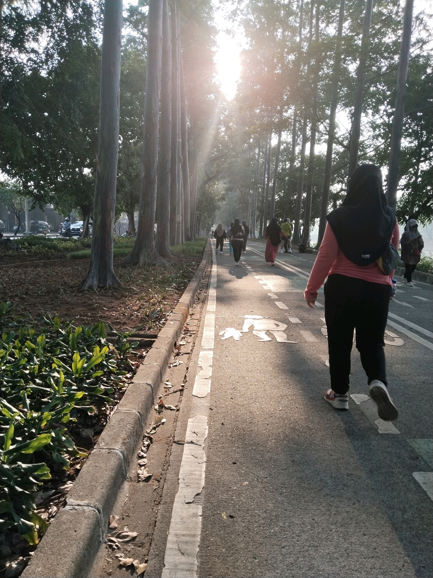 The image depicts a scene in Taman Lapangan Banteng, East Jakarta, Indonesia, during sunrise. The sun's rays are visible, creating a lens flare effect and casting long shadows. A paved pathway, marked with white lines and a silhouette of a running person, is the primary focus.
Several individuals are engaged in morning activities on the pathway. In the foreground, a person wearing a pink long-sleeved shirt, black hijab, and black pants is walking away from the camera. To their left, a line of tall, slender trees with visible roots lines the pathway. In the middle ground, other individuals, mostly women in hijabs, are walking or jogging. Some are dressed in athletic wear, while others are in more casual clothing. In the background, cars are visible on a road adjacent to the park, and more trees and foliage complete the scene. The ground beside the pathway is covered with dry leaves and patches of green plants. The overall atmosphere suggests a peaceful morning exercise session in a public park.