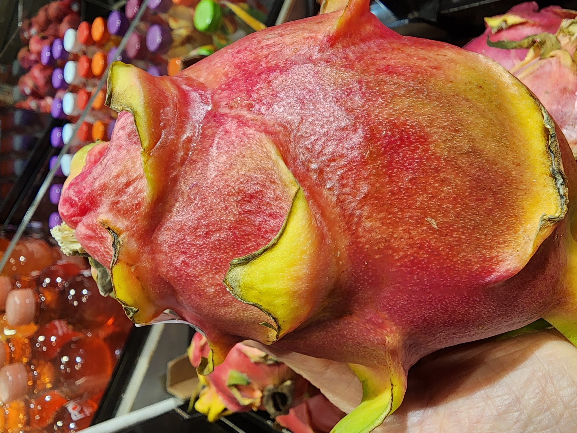 A close-up, eye-level shot shows a person's hand holding a ripe dragon fruit. The fruit is predominantly red with yellow-green scales and appears to be fresh and intact. In the background, out of focus, is a refrigerated display case containing numerous bottles of red and orange liquid, likely beverages, with their caps varying in color from purple to white and orange. Some of the bottles have white liquid in them. The scene appears to be in a grocery store or similar retail environment, with the shelving of the display case visible.