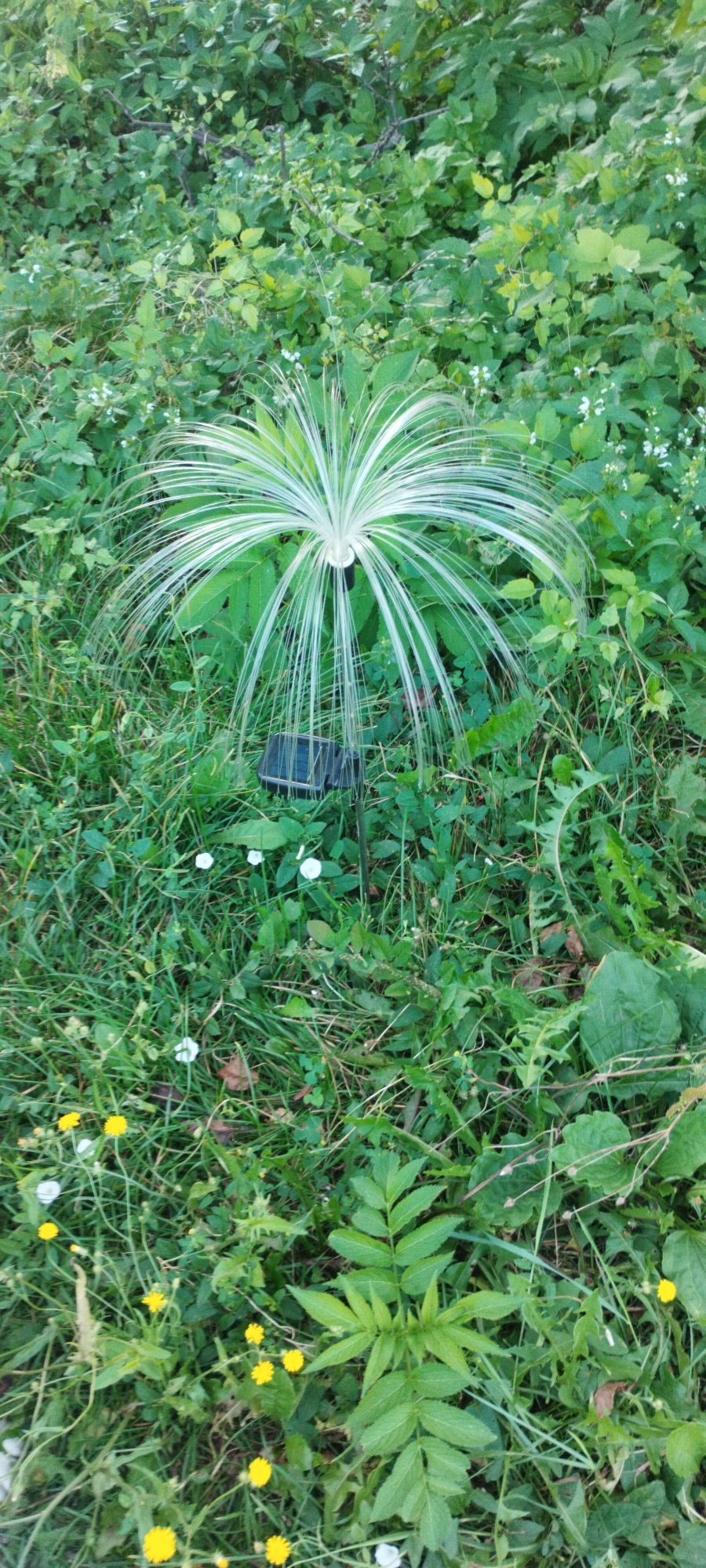 A solar-powered garden light, designed to resemble a grass plant with thin, white and green blades fanned out, stands in a patch of green grass and foliage. A small solar panel is attached to the base of the light. The surrounding area is overgrown with various green plants, including some small white and yellow wildflowers. The scene is outdoors, likely in a garden or a natural area, and appears to be in Yaroslavskaya, Russia. There are no people or animals present. The lighting suggests it is daytime.