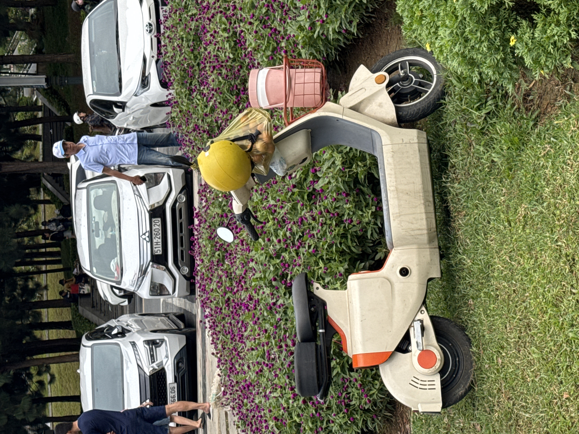 The image shows a beige electric scooter parked in a grassy area with a dense patch of purple globe amaranth flowers in the background. A yellow helmet is attached to the handlebars, along with a plastic bag containing items and a pink water bottle in a red wire basket. In the background, three white cars are parked, one with the license plate "51H-260.20". A man wearing a light blue shirt and jeans stands near the cars, and other people are visible in the distance, some sitting on stairs. The setting appears to be a public park or walkway, likely in Da Lat, Vietnam, given the prevalence of flowering plants and the style of the vehicles and people. The overall scene depicts a moment of stillness, with the scooter serving as the central subject in the foreground.