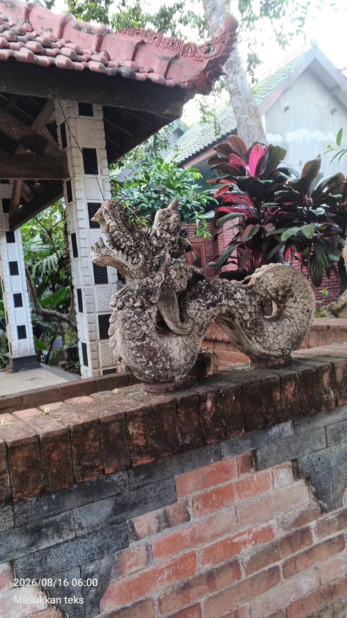 An outdoor, eye-level, slightly-low angle shot shows a weathered stone dragon statue perched on a red brick wall. The dragon statue is light gray with a textured, scaled surface and appears to be made of concrete or stone. It has a long, serpentine body with a detailed head, open mouth, and elaborate fins or mane. The statue is positioned in front of lush green foliage, with darker red-leaved plants visible behind it. In the background, a traditional Indonesian-style building with a red tile roof and white pillars can be seen. A second, lighter colored roof is visible further back. The foreground is dominated by the textured red brick wall and a section of gray brickwork. The scene appears to be set in a courtyard or garden area. The timestamp "2026/08/16 06:00" and the text "Masukkan teks" (Indonesian for "Enter text") are superimposed on the lower left portion of the image.