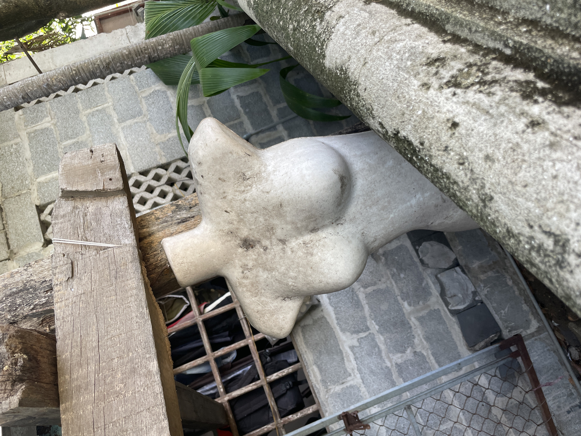 The image shows a weathered, off-white, female mannequin torso, situated outdoors against a gray cinder block wall and some palm fronds. The torso is dirty and has visible marks and scratches. It is propped up by wooden beams and appears to be part of an outdoor storage area. In the background, a metal grate with hanging clothes is visible, along with a chain-link fence. The scene is likely in a residential or storage area in Phu Thuy Ward, Vietnam, given the presence of palm trees and the architectural style of the building. The lighting suggests it is daytime.