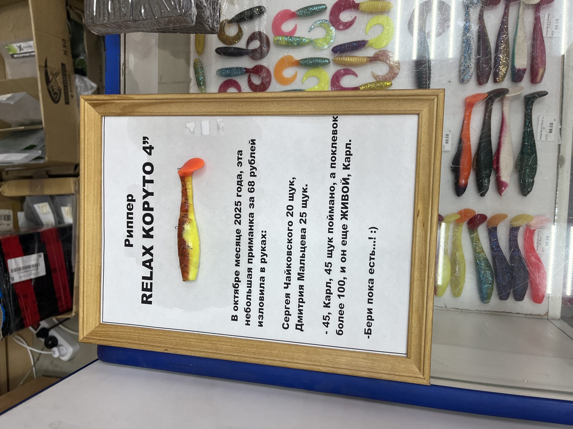 A framed sign reading "Риппер RELAX KOPYTO 4"" in a store, likely in the city of Chaikovsky, Russia, given the name of Sergei Chaikovsky mentioned on the sign. The sign also states "В октябре месяце 2025 года, эта небольшая приманка за 68 рублей изловила в руках:" followed by Sergei Chaikovsky 20 щук, Dmitry Maltsev 25 щук. - 45, Карл, 45 щук поймано, а поклевок более 100, и он еще ЖИВОЙ, Карл. -Бери пока есть...! :) ". The sign features a photo of the lure. Behind the sign is an assortment of fishing lures hanging for sale.