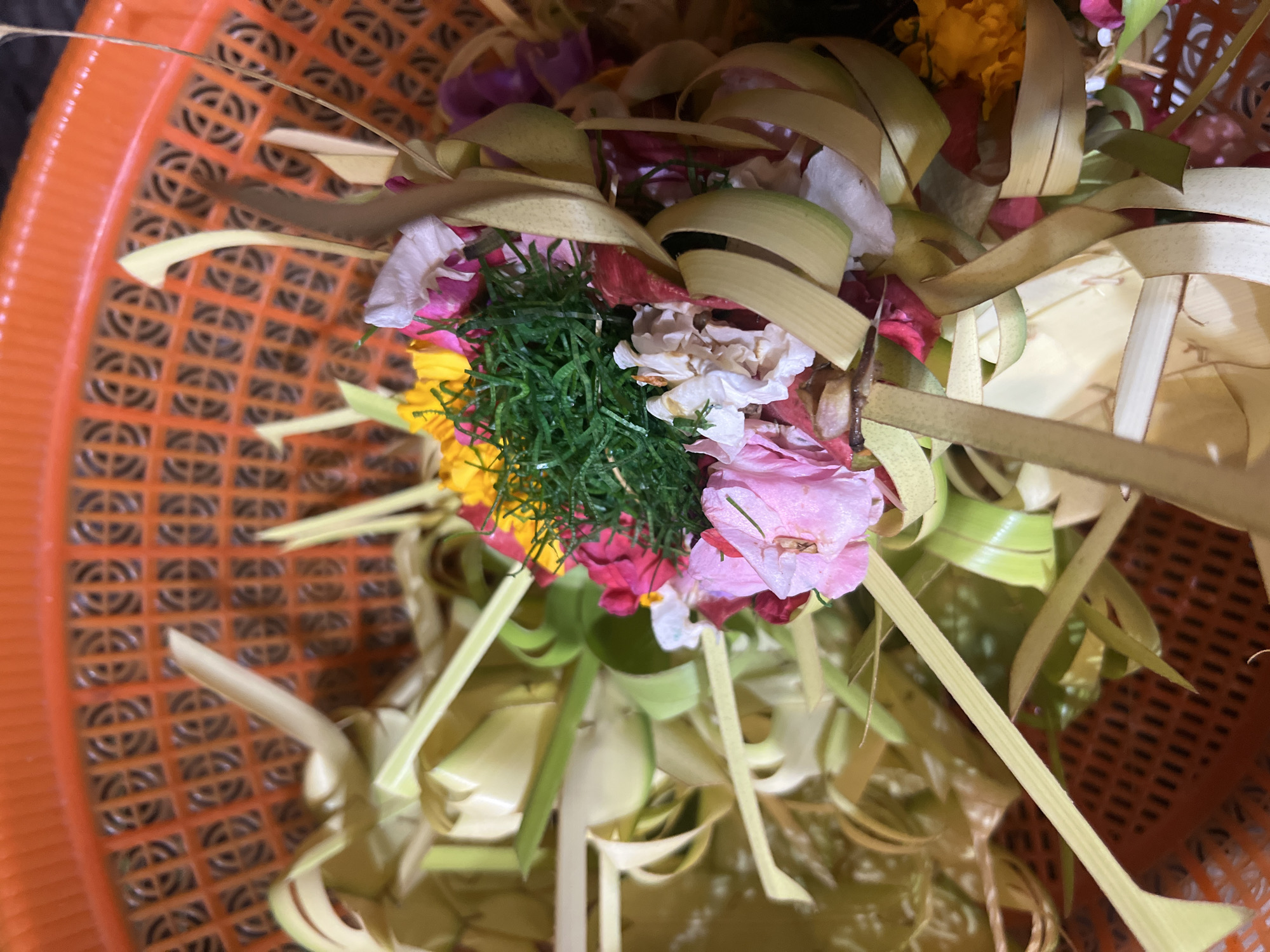 A close-up overhead shot shows a woven orange plastic basket containing a floral offering. The basket has a grid pattern with square openings. Inside the basket are various flowers in shades of pink, white, yellow, and purple, mixed with green foliage and thin, pale green palm fronds that are woven into decorative shapes. Some of the palm fronds are curled and twisted, wrapping around the flowers. The offering appears to be placed on a bed of more palm fronds, which extend out from the center. The lighting is bright, creating some highlights and shadows on the floral arrangement. The image was taken in Mendoyo, Indonesia, where such offerings are common.