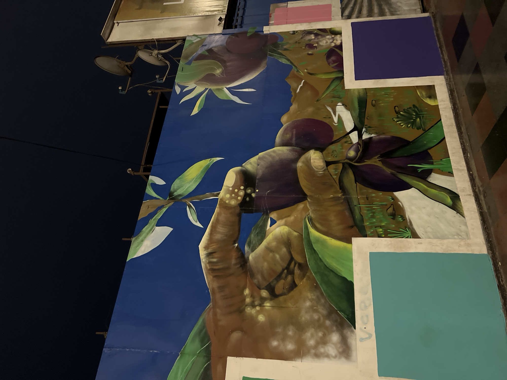 A low-angle, long-shot photograph depicts a colorful mural on the side of a building. The mural features a stylized depiction of a brown-skinned arm and hand holding a branch with large, purplish-brown fruit against a blue background. The hand and arm are prominently detailed with spots and lines. Green leaves and branches extend around the fruit and hand. Abstract shapes and colors, including purple, green, pink, and teal squares, are placed around the central image. Metal support structures and lights are visible on the upper left of the image. The photograph was taken at night. The location is presumed to be Arica, Chile.