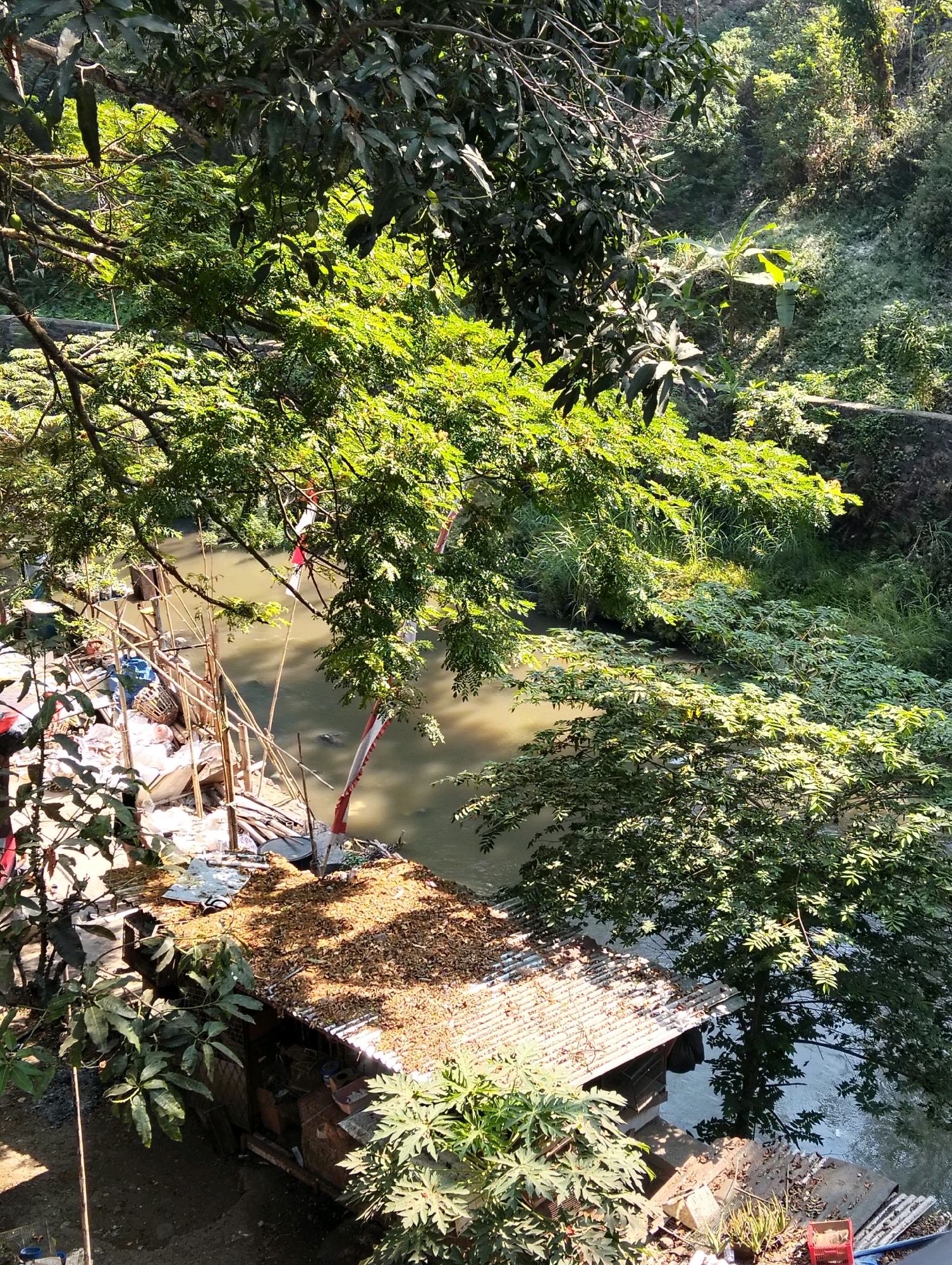 The image depicts a view overlooking a dirty, murky river in the city of Malang, Indonesia. On the left bank, a cluttered area is visible, filled with debris, construction materials, and what appears to be a makeshift shelter. Several bamboo poles are propped up, supporting some sort of structure. Red and white flags are tied to some of these poles, and to a red and white striped pole. A corrugated metal roof, covered in dry leaves, shelters a small structure near the riverbank. Green foliage from trees overhangs the scene, with sunlight filtering through the leaves, casting dappled shadows. The environment appears somewhat neglected and unkempt, with visible evidence of waste and makeshift construction.