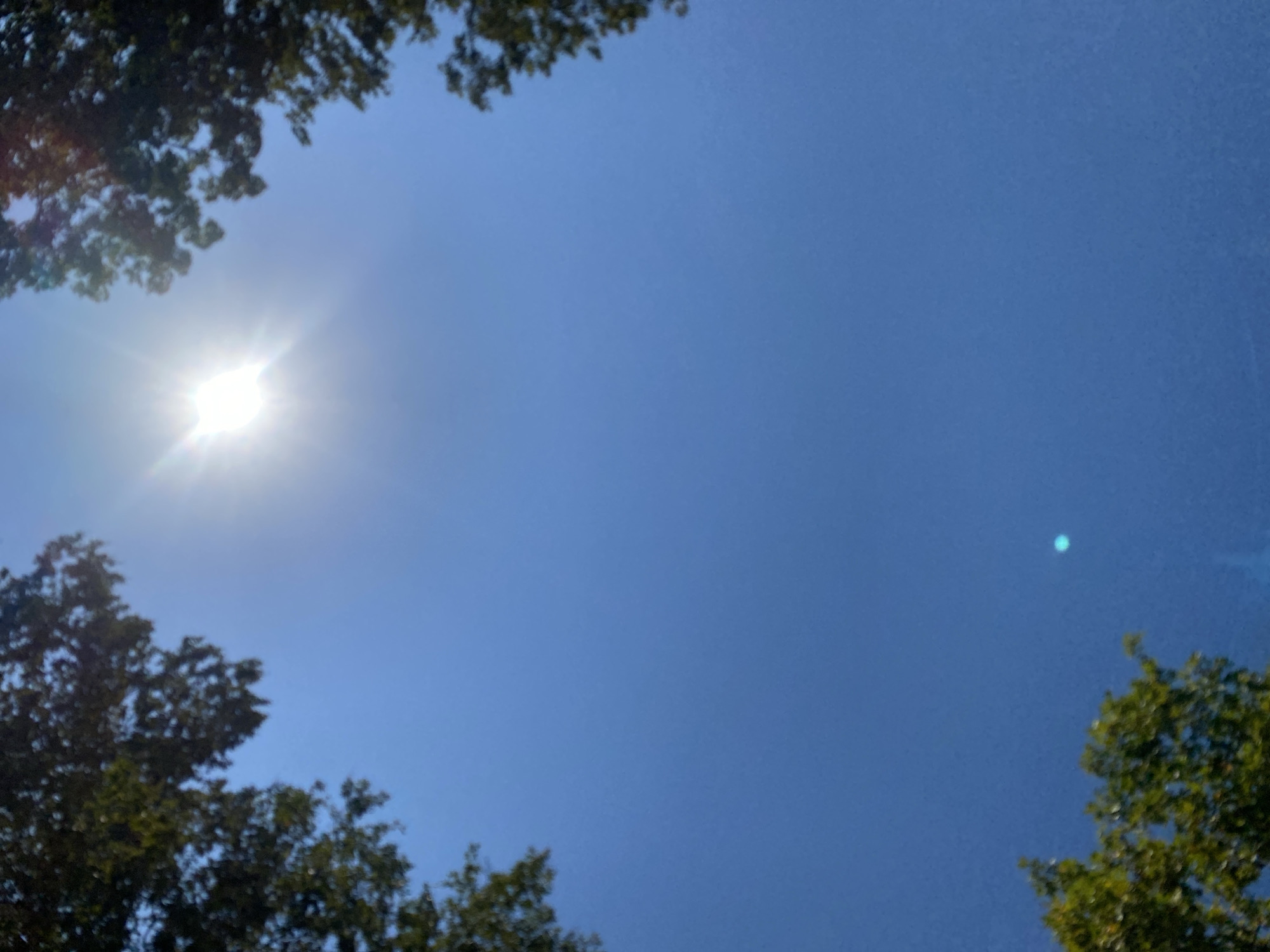 This is an upward-facing outdoor shot of a clear blue sky, with the sun prominently visible in the lower center. The sun is creating a bright starburst effect with lens flare extending outwards. Lush green trees with dark foliage frame the top and bottom edges of the image, obscuring some of the sky. There are no people or man-made structures visible. The image appears to be taken in Chornomorsk, Ukraine, on a bright, sunny day.