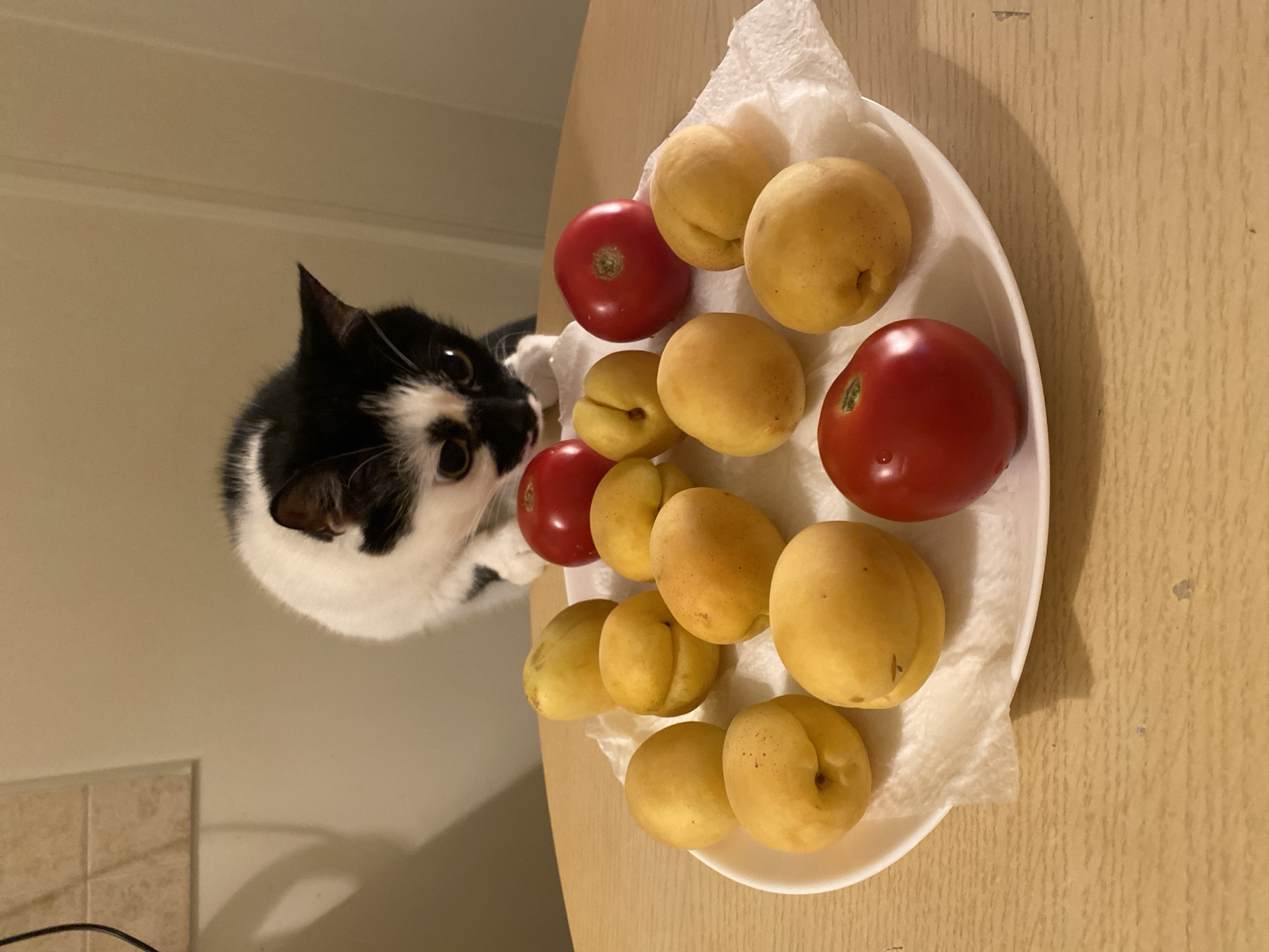 A black and white cat leans over a white plate filled with yellow fruits and three red tomatoes. The plate rests on a light-colored wooden table. The cat's head and front paws are visible as it appears to be sniffing or reaching for the food. The background is a plain, light-colored wall with some tile visible on the upper left. The scene is indoors, likely in a home. There is no indication of the location being in Moscow, Russia.