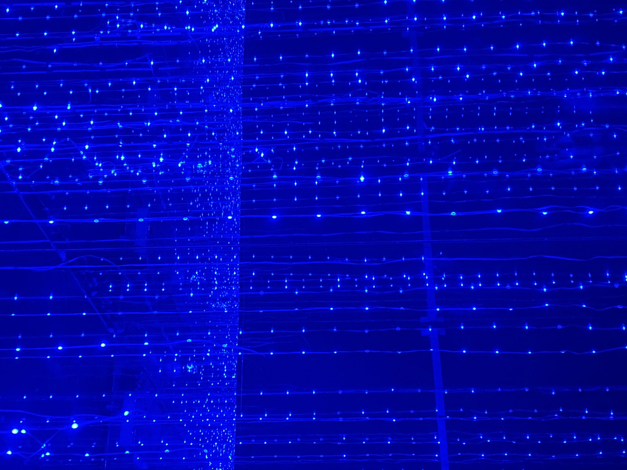 The scene depicts an expansive indoor light installation located in San Bernardino Tlaxcalancingo, Mexico. The environment is enveloped in deep blue light, originating from numerous small, uniformly illuminated electric blue LED bulbs. These bulbs are arranged in dense vertical strands, creating a curtain-like effect that extends from the foreground into the receding background. An overhead canopy or ceiling structure is also densely covered with similar blue lights, contributing to an immersive luminous enclosure. No individuals, specific objects beyond the lighting fixtures, or discernible actions are present within the frame.